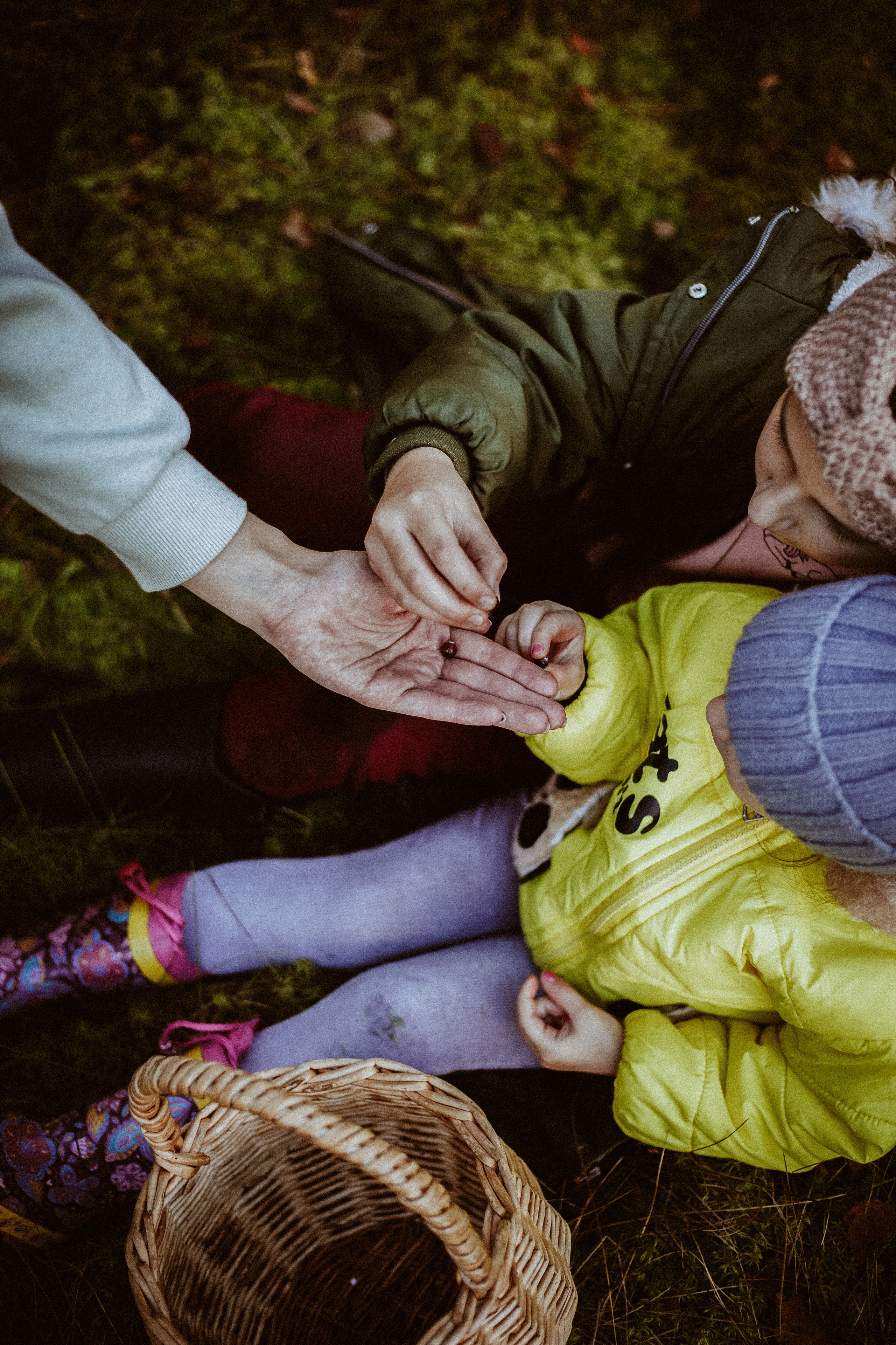 Семья Горбатенко, поездка в деревню. Главная