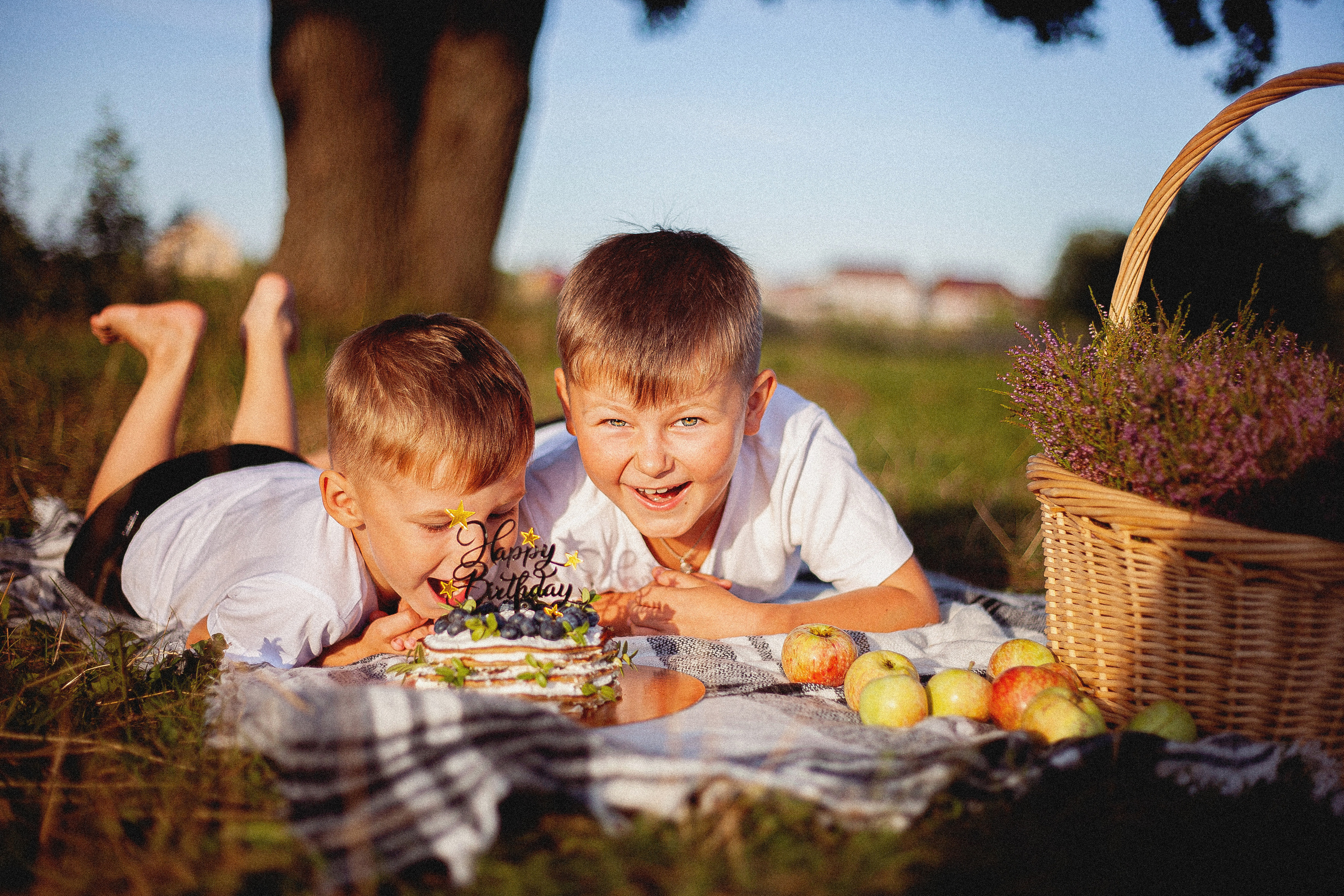 Семья Силяковых на природе, ДР мальчишек. Главная