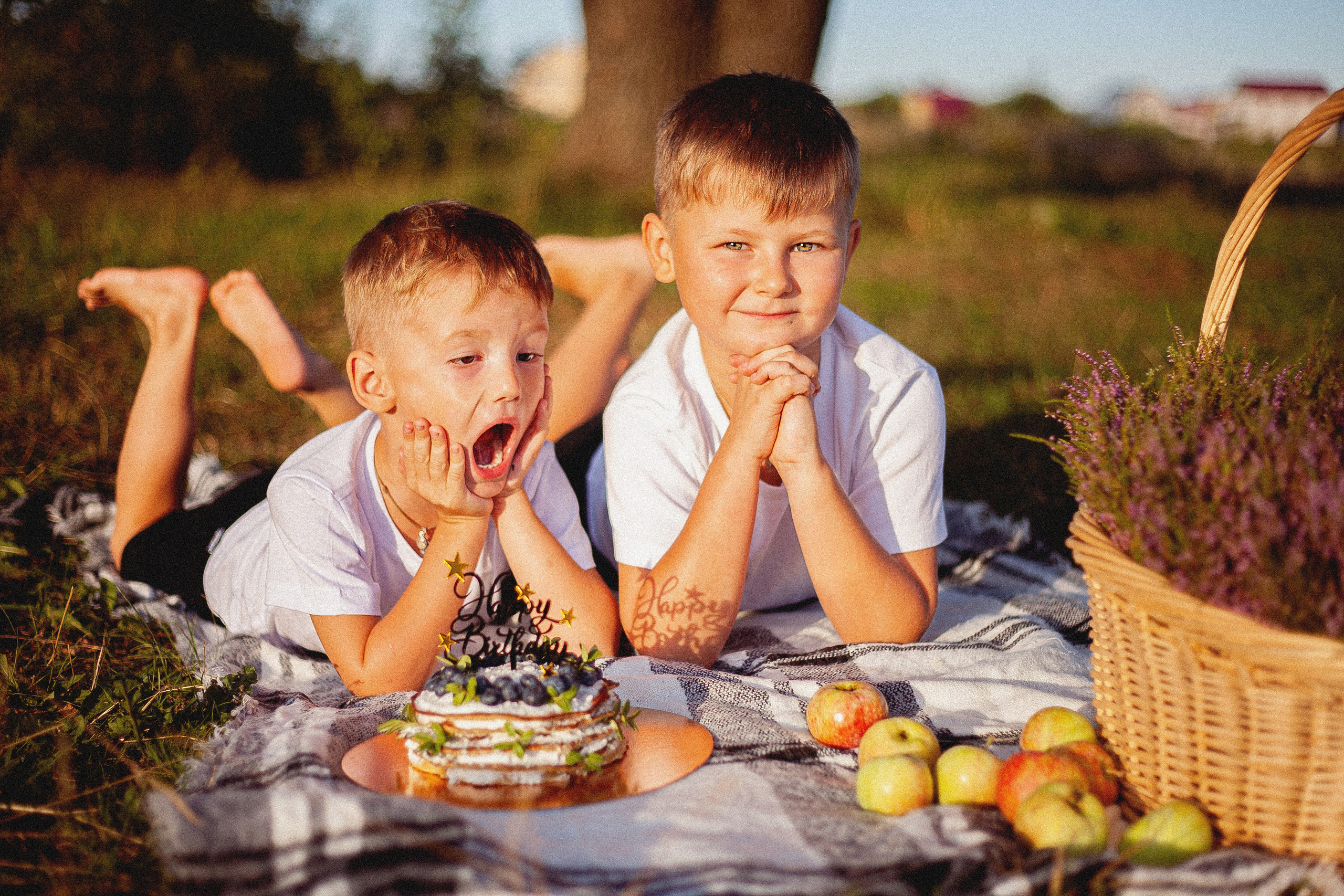 Семья Силяковых на природе, ДР мальчишек. Главная
