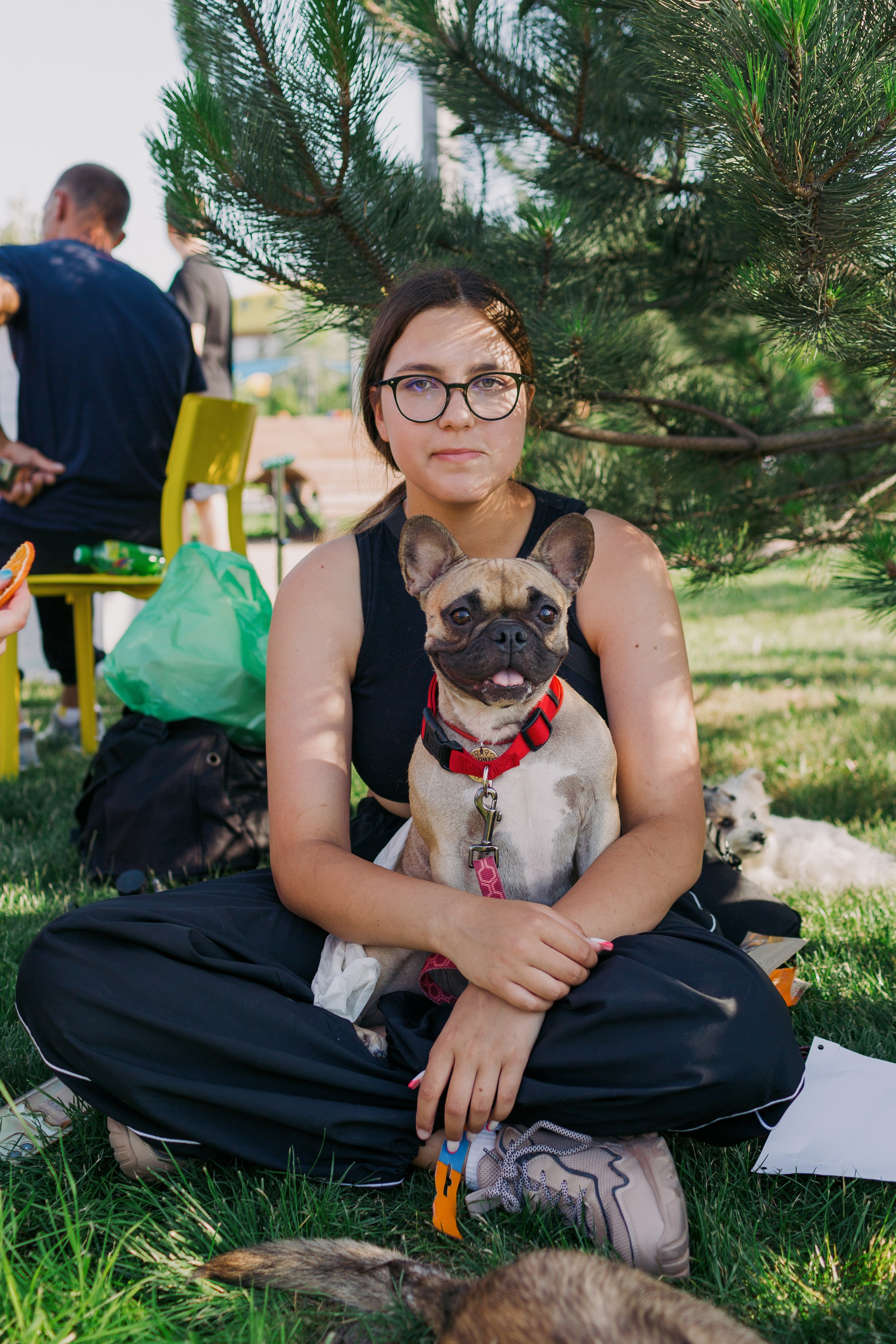 Dog Fest 2024. Главная