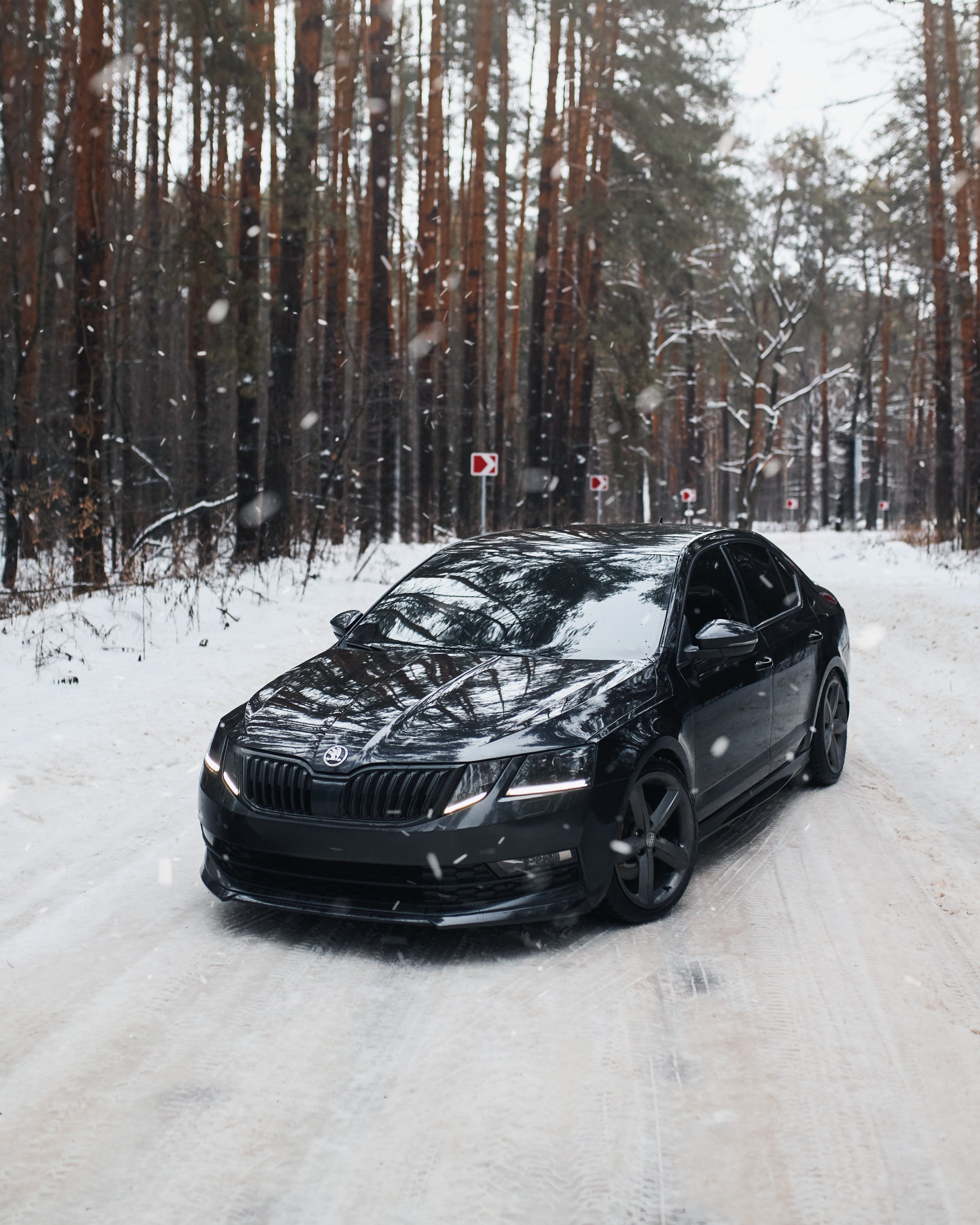 Skoda Octavia | @fuck_credit. DKARPOCHEVA PHOTOGRAPHY