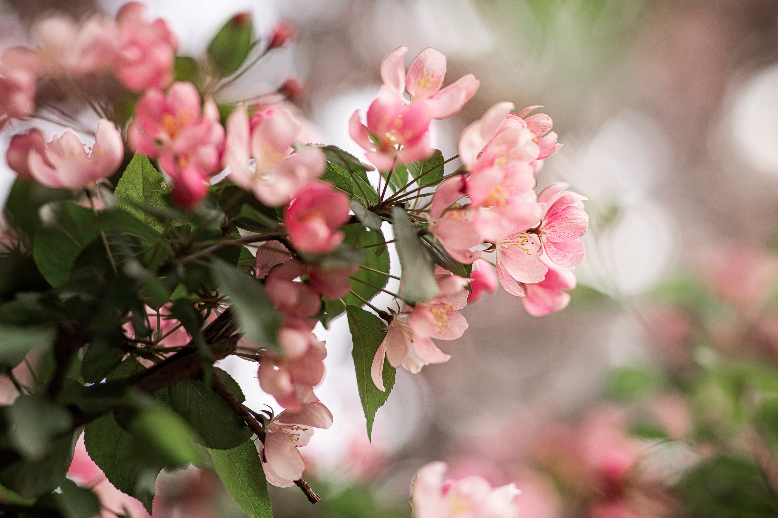 Весна. Спортивный фотограф в Москве