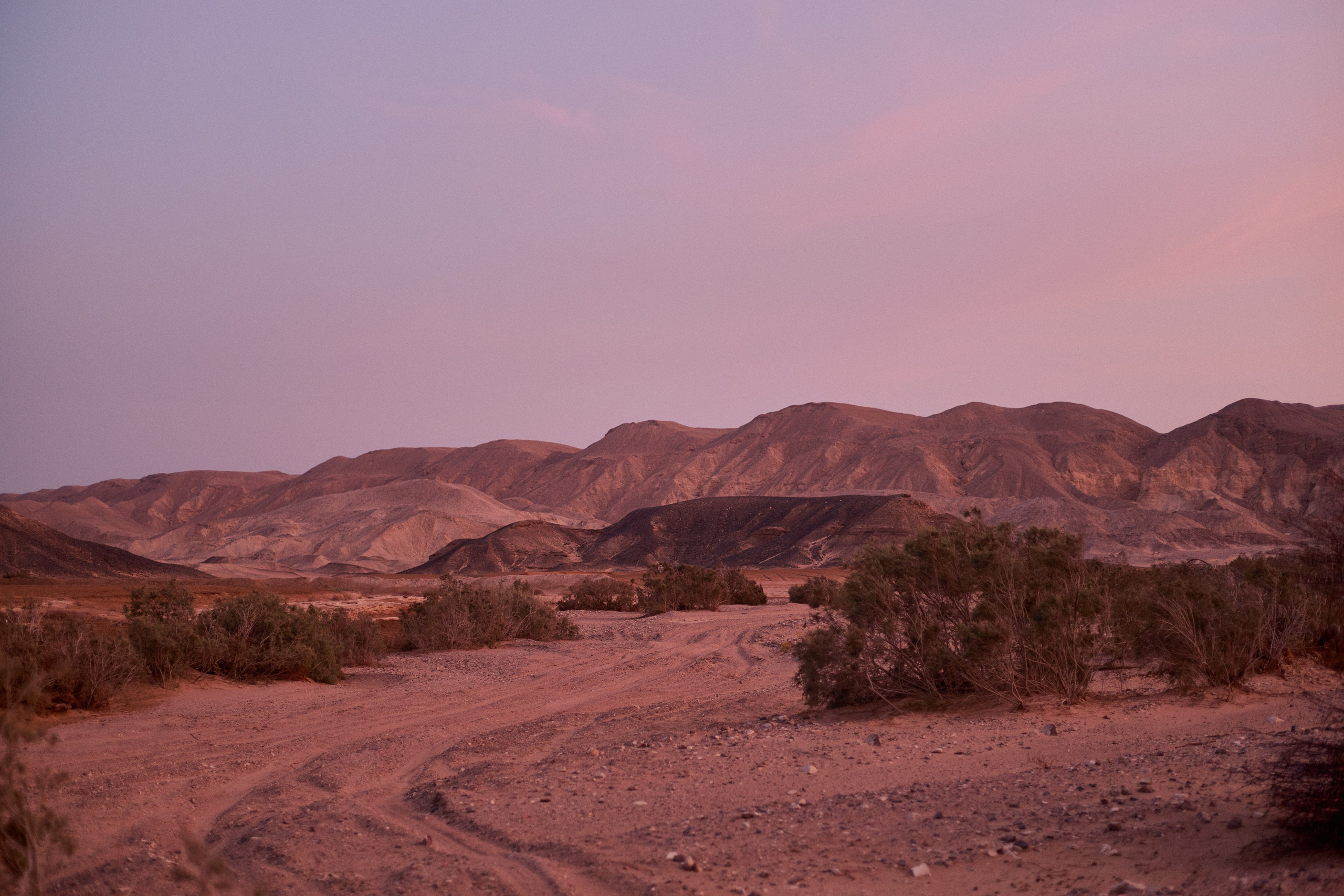 Улица горизонтальная. Jorgis — фотограф в Хургаде / обучение фотографии