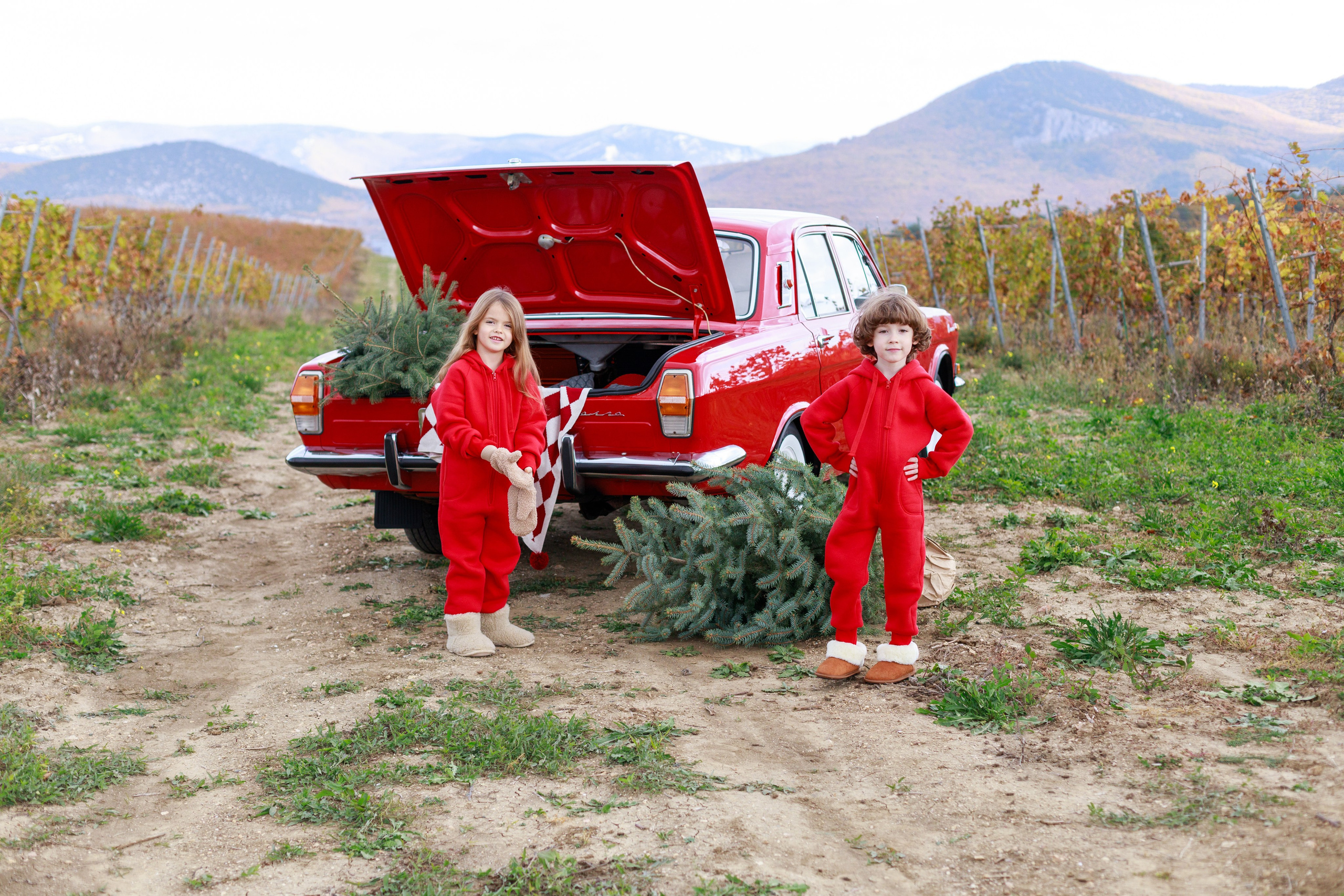 MJOLK. Новогодняя коллекция. Римма Зайцева контент для брендов