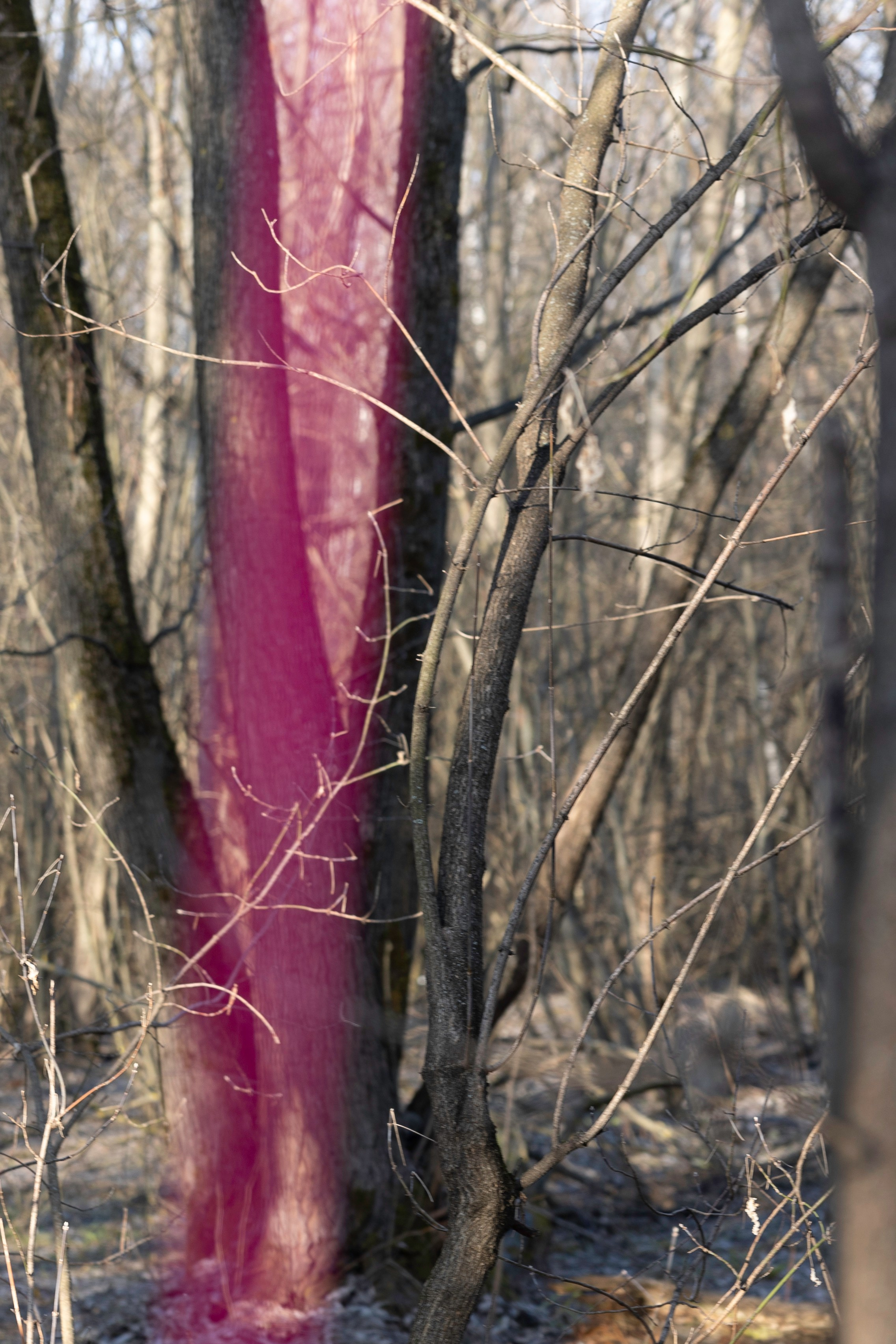 Art prints. Фотограф алина стерхова, алина стерхова фотограф, фотограф москва