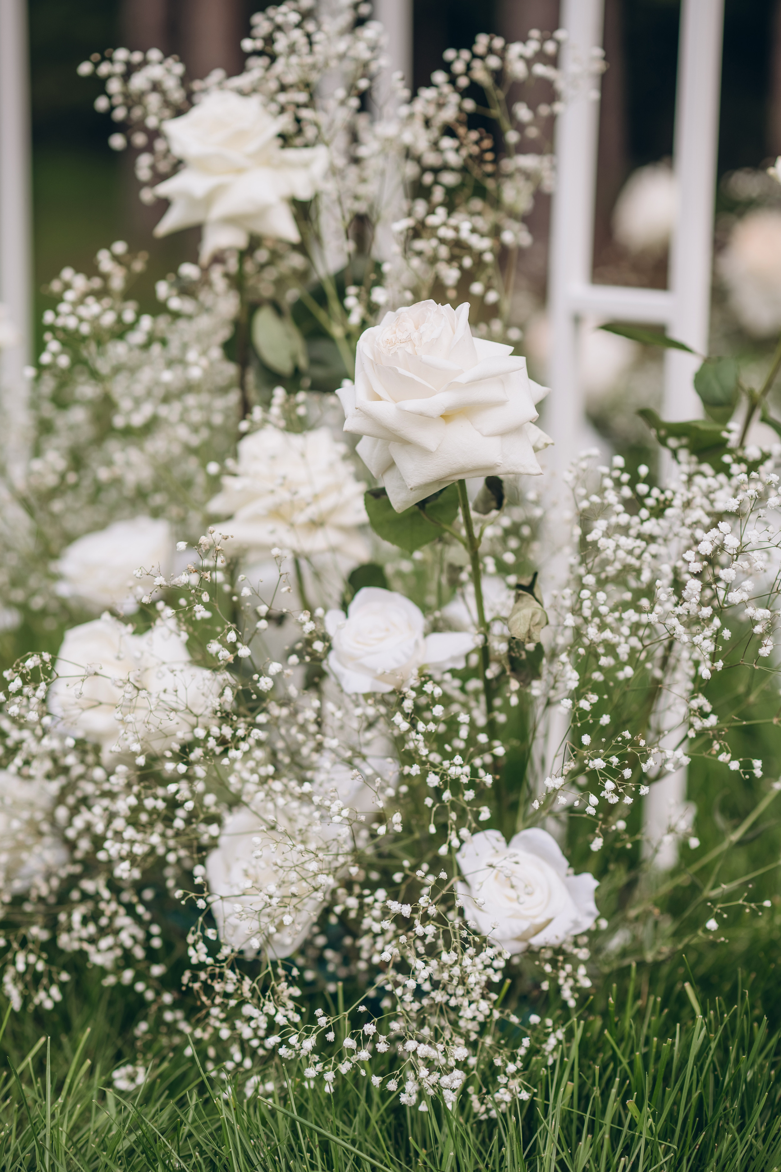 Аня. МАРГАРИТА КУДРЯШОВА СВАДЕБНЫЙ И СЕМЕЙНЫЙ ФОТОГРАФ ТВЕРЬ МОСКВА