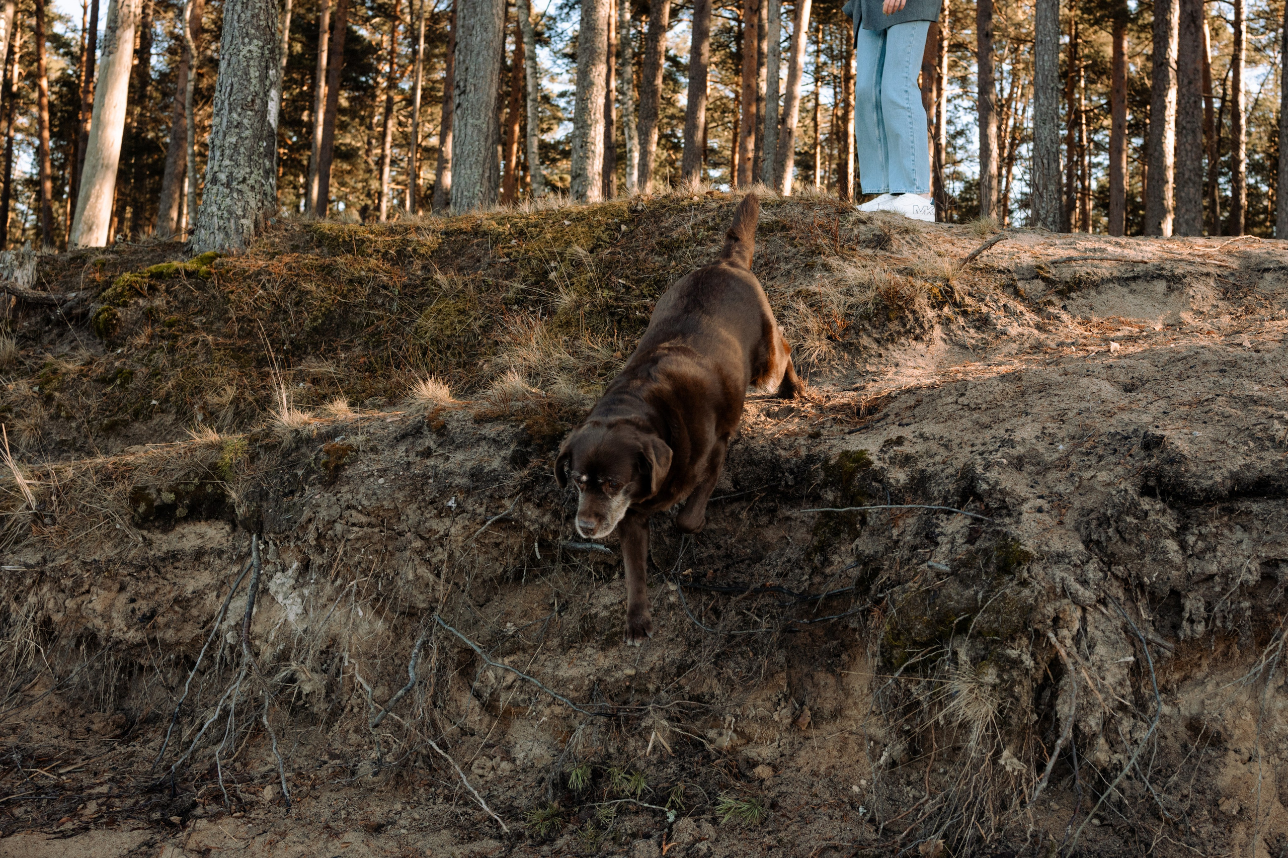 Оля и Питоня. Фотограф — Анималист | Санкт-Петербург