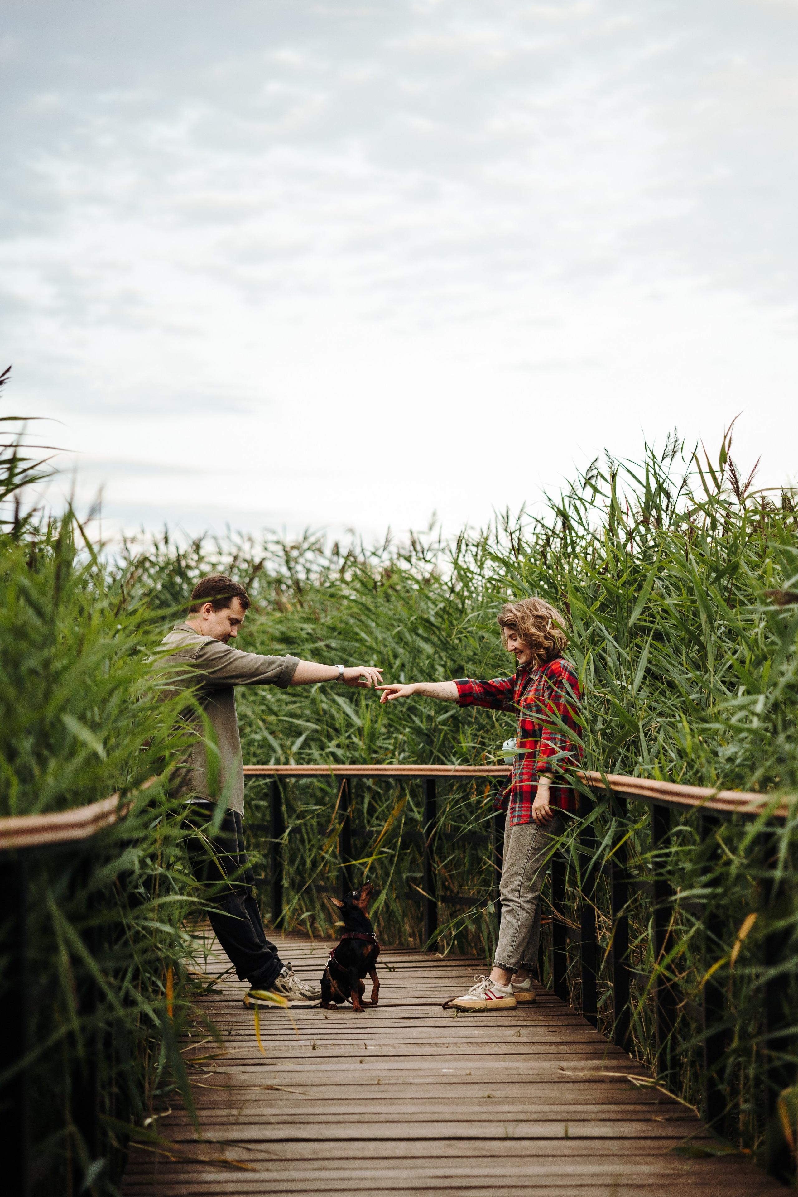 Сириус и его семья. Фотограф — Анималист | Санкт-Петербург