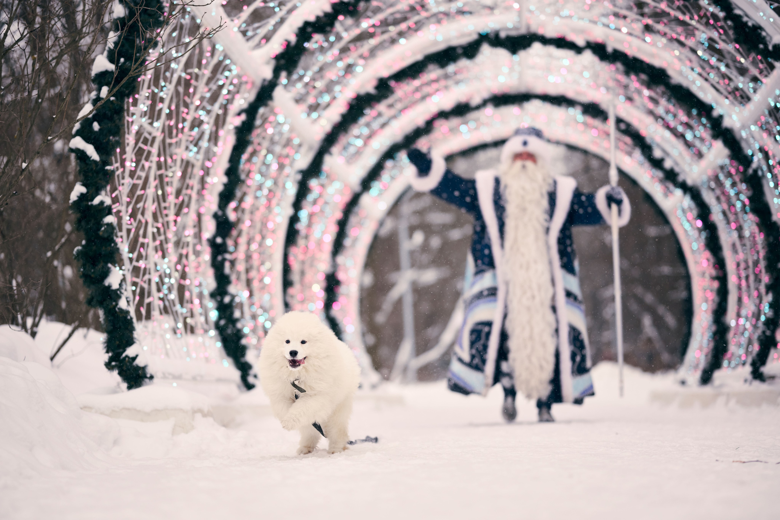 Дед Мороз с Платоном. Никита Хохловский фото и видео продакшн