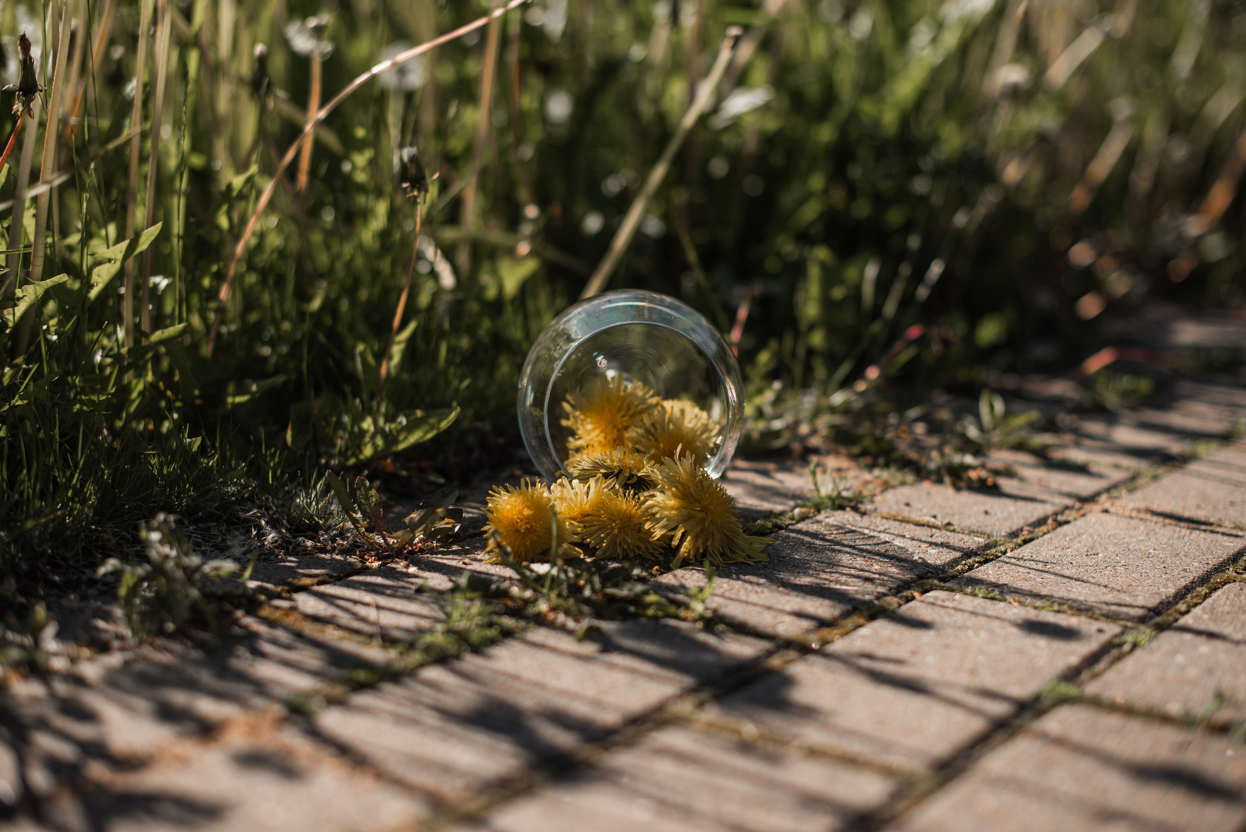 Лилия. Стильный портретный и семейный фотограф в Москве Ника Артуньянц