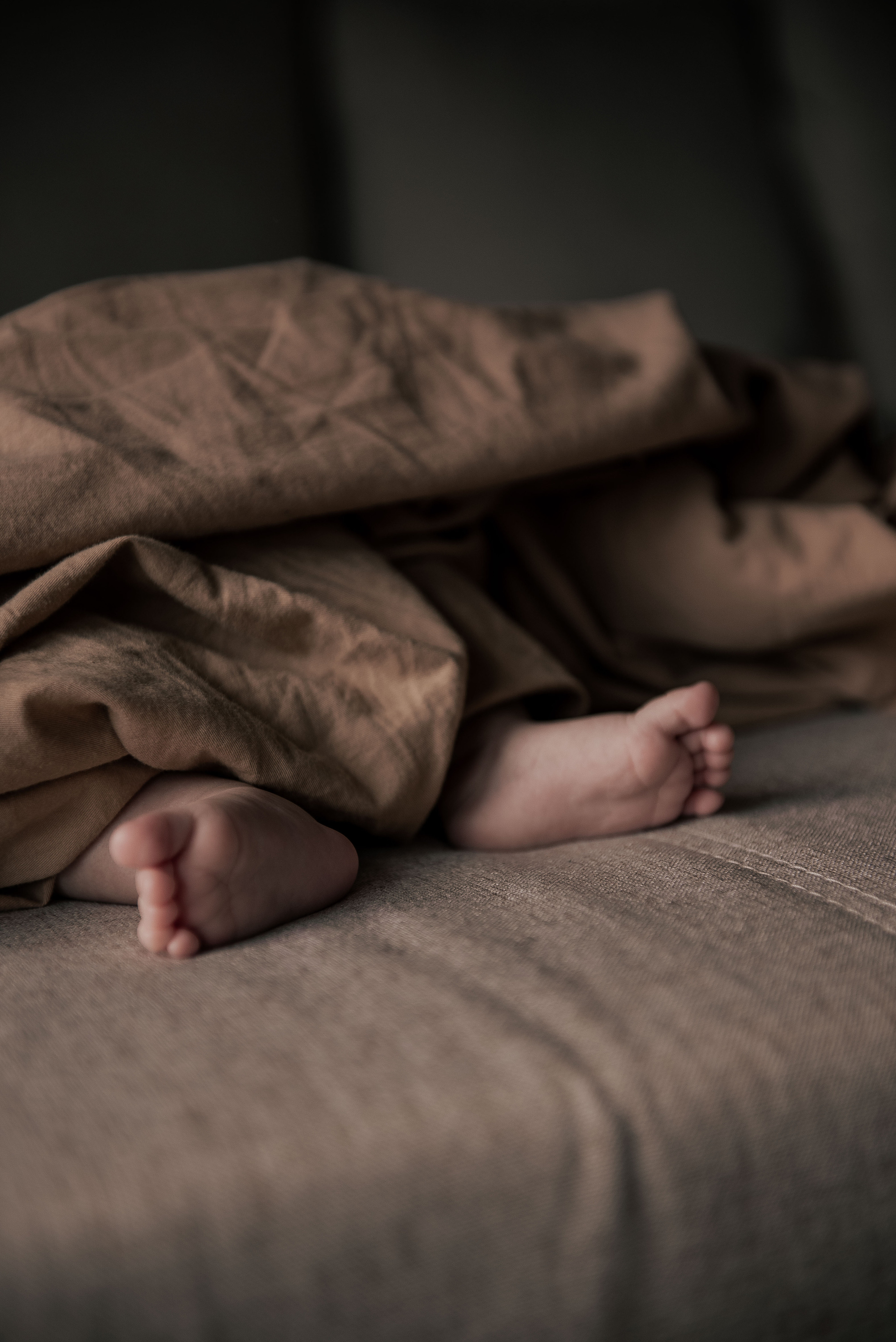 Прохоровы. Стильный портретный и семейный фотограф в Москве Ника Артуньянц