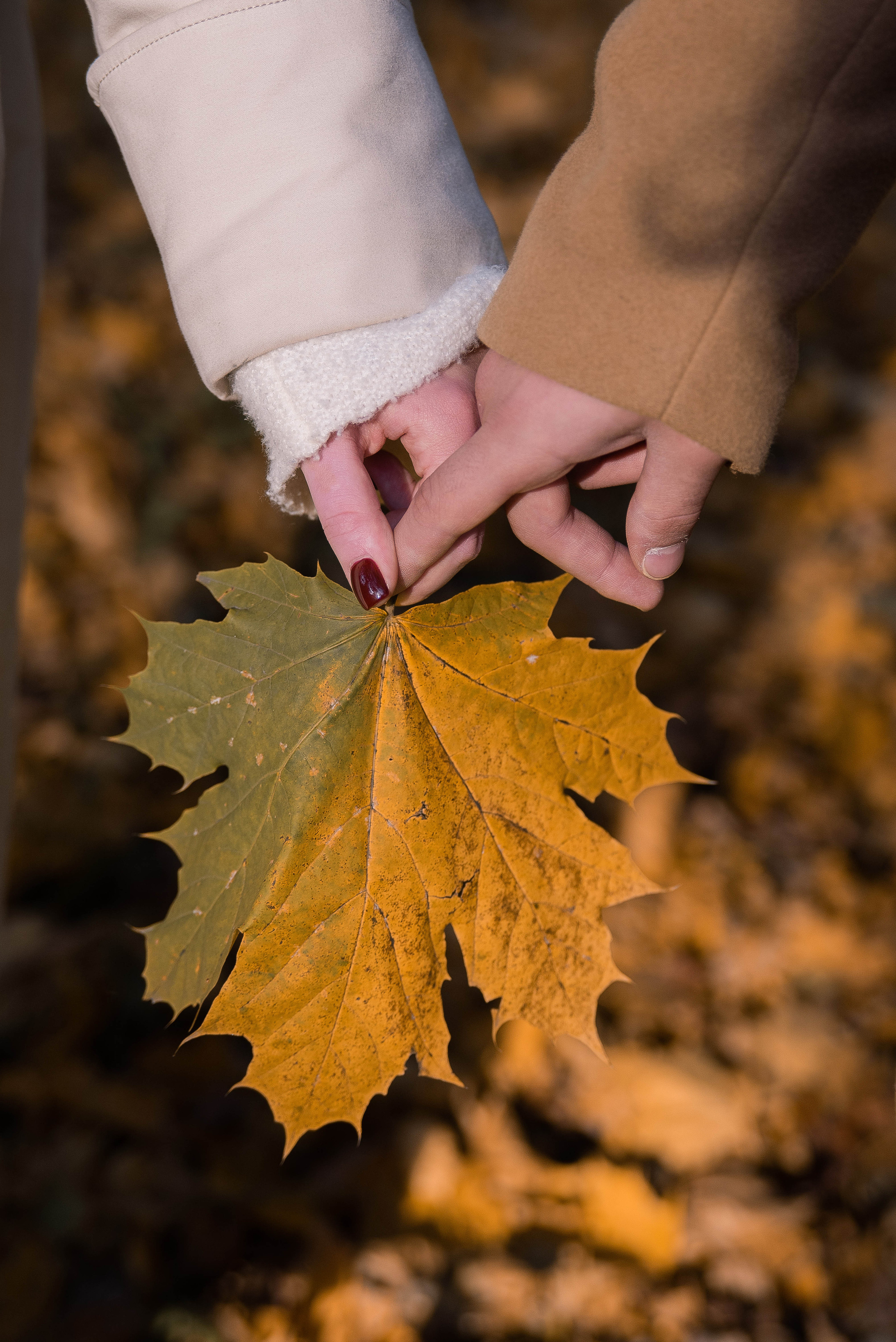 Вадим и Анастасия. Стильный портретный и семейный фотограф в Москве Ника Артуньянц