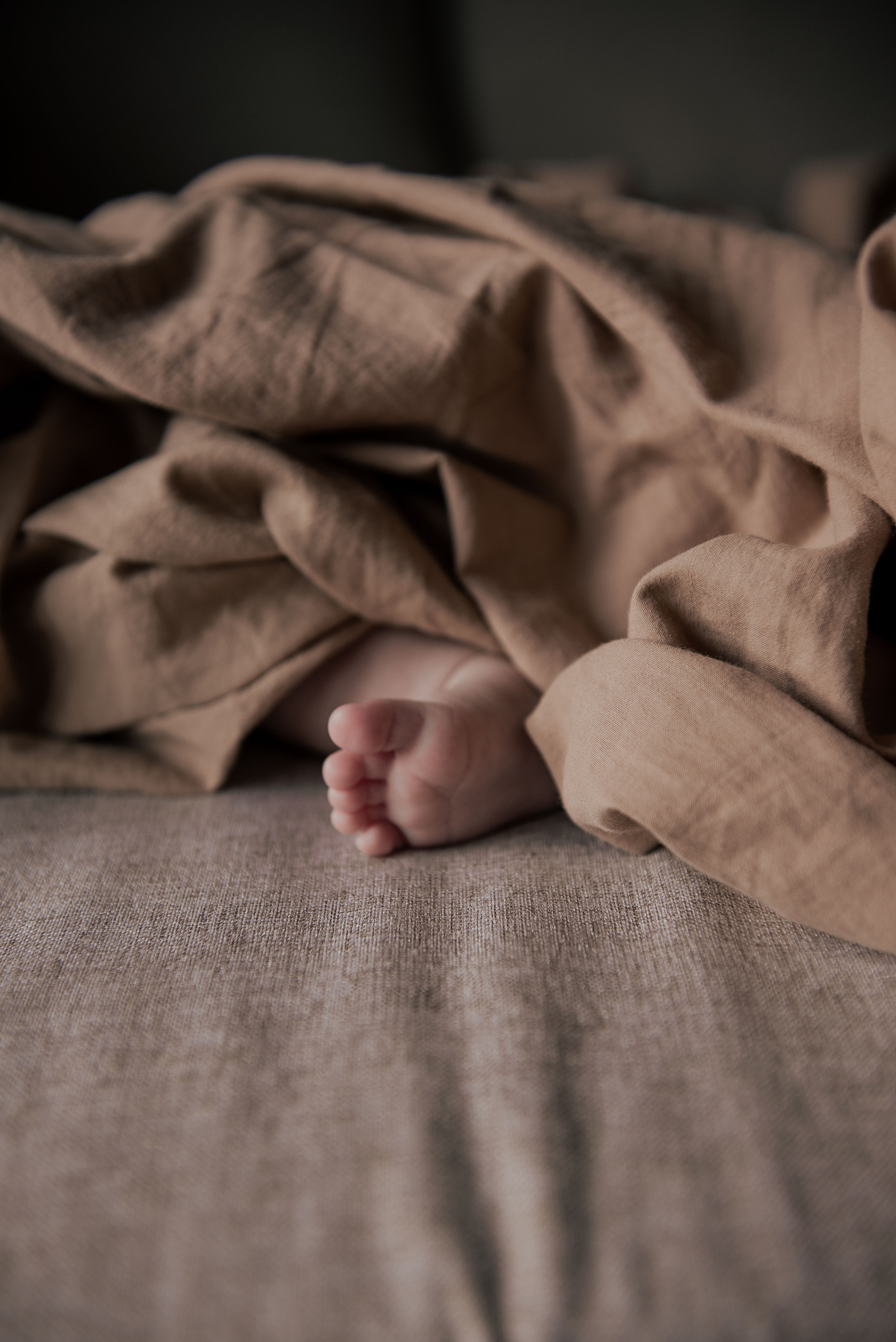 Прохоровы. Стильный портретный и семейный фотограф в Москве Ника Артуньянц