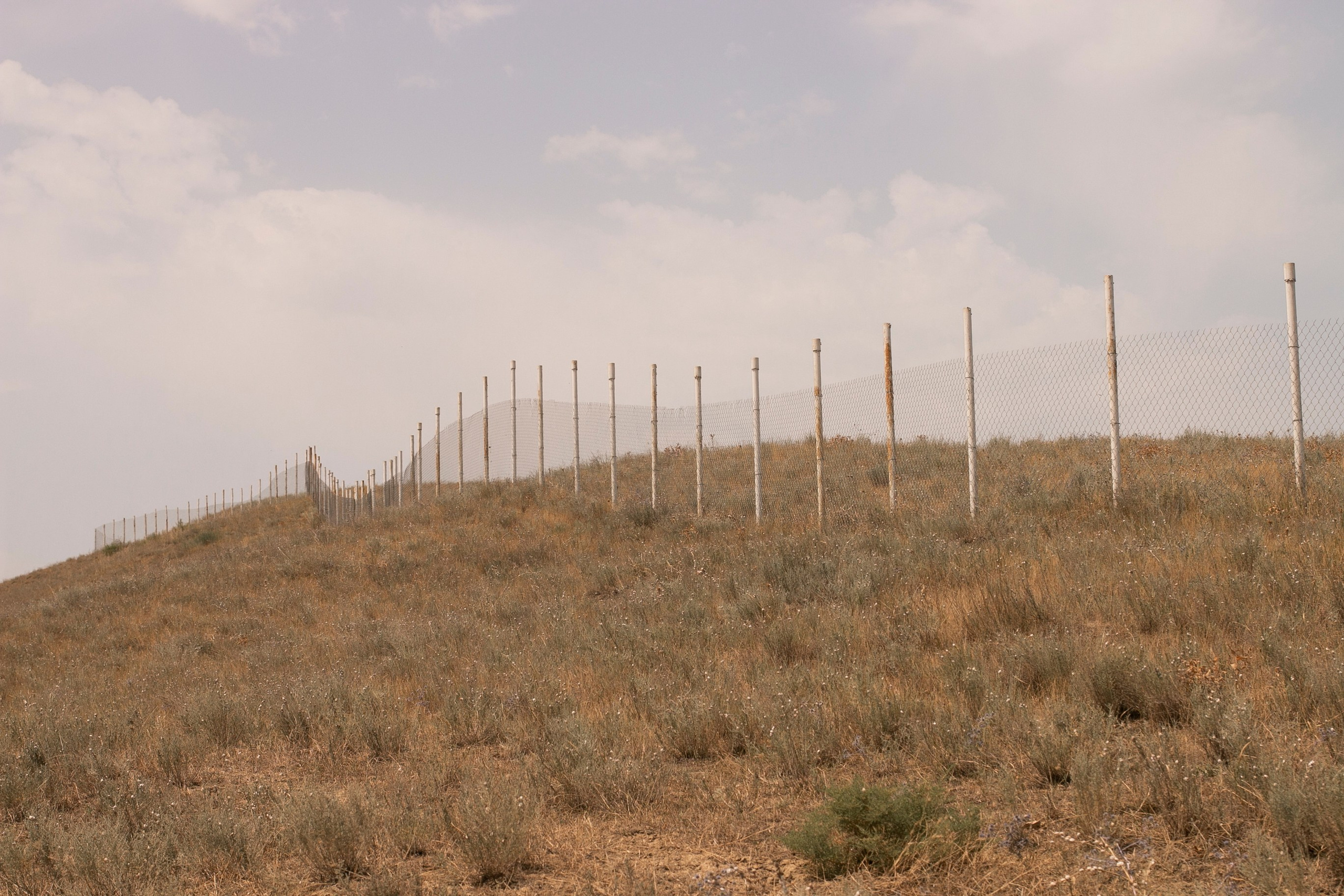 ART. Фотограф Злата Спицына