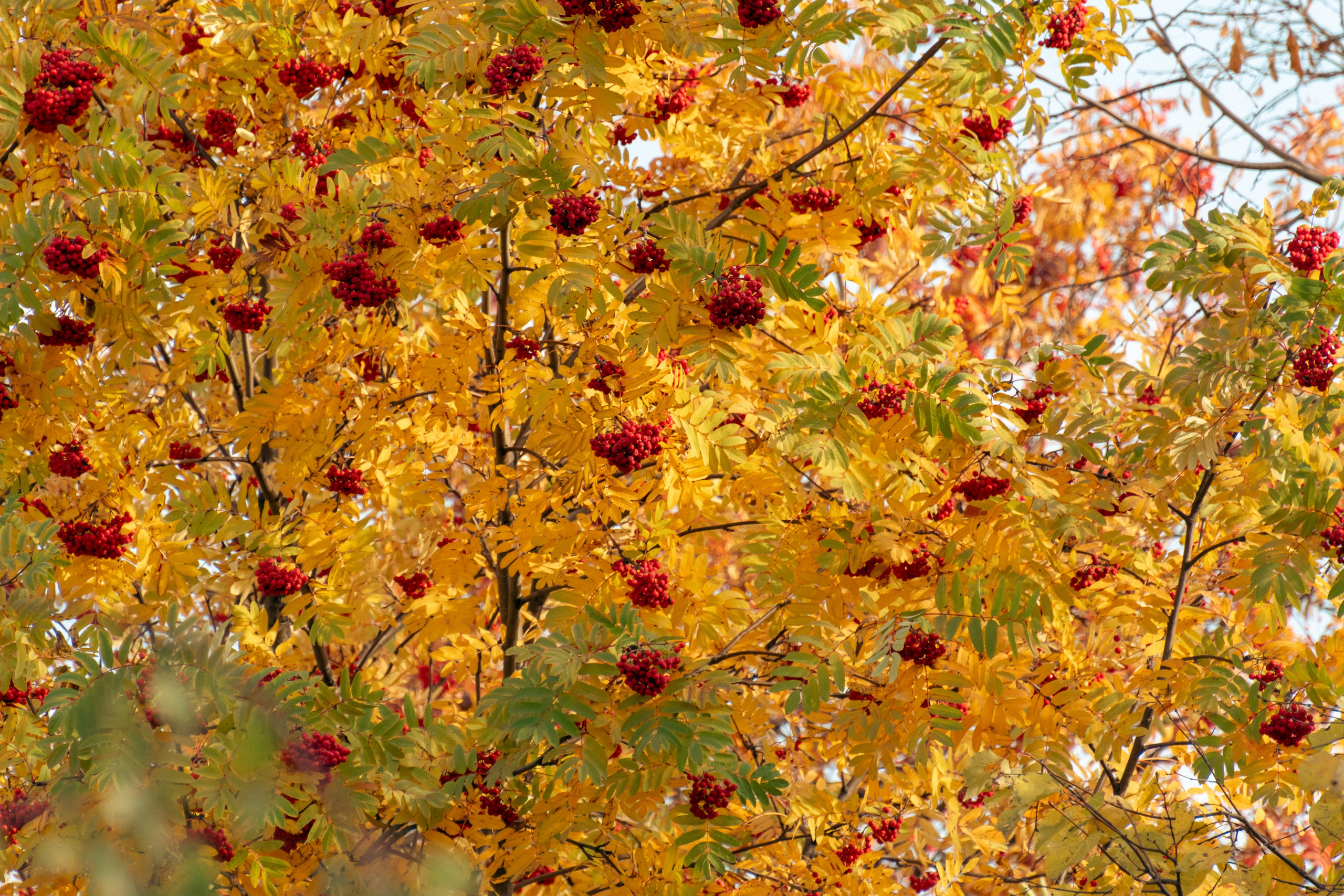 20211003 Поклонка. Дмитрий Ремизов. Фотография, как хобби