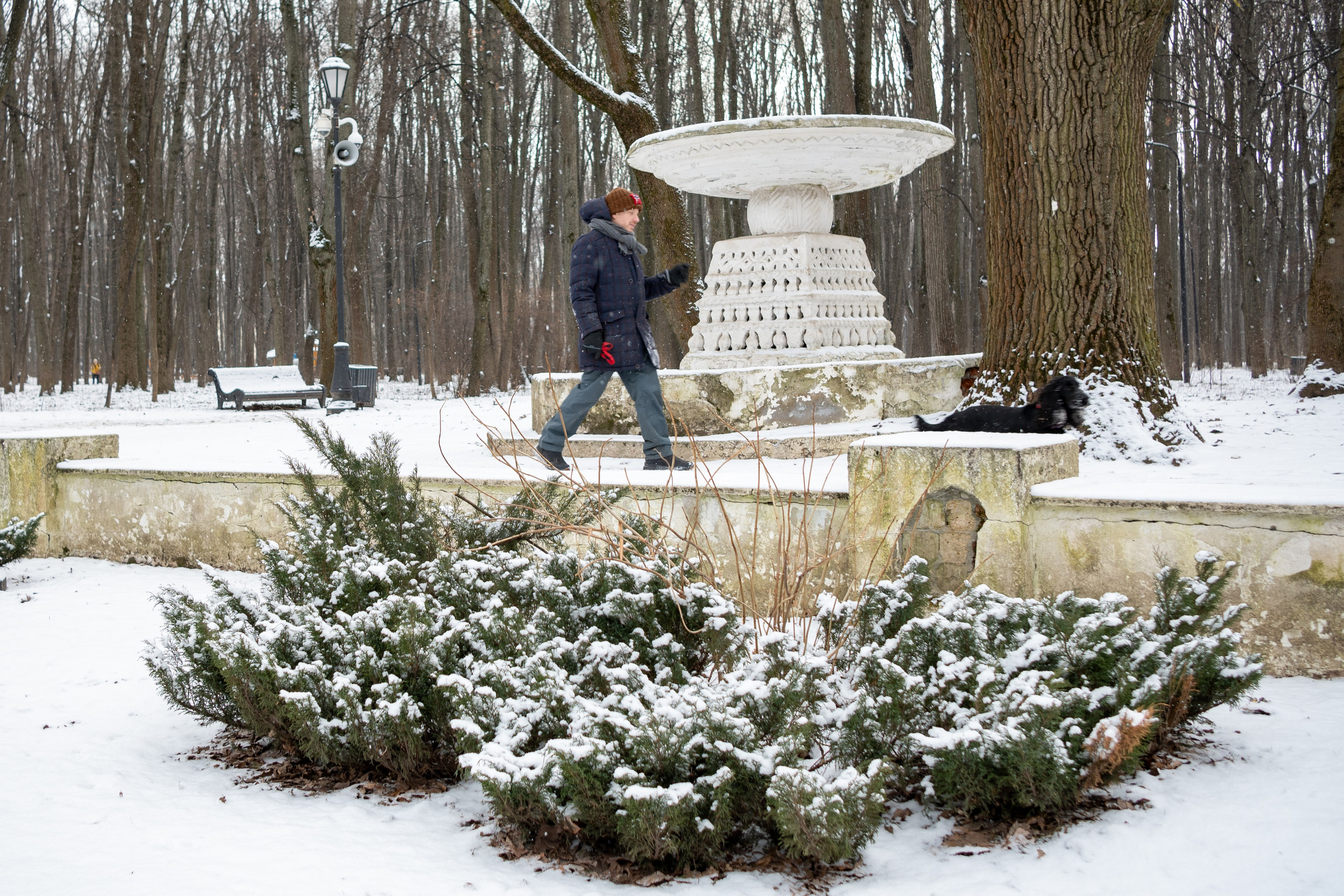 20250216 Нескучный сад. Дмитрий Ремизов. Фотография, как хобби