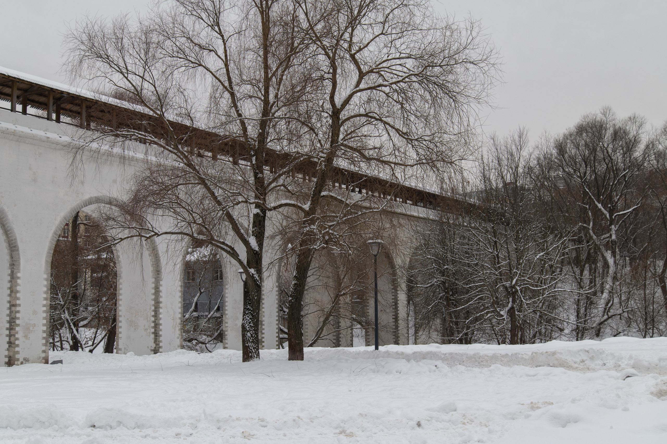 20240127 Ростокинский акведук. Дмитрий Ремизов. Фотография, как хобби