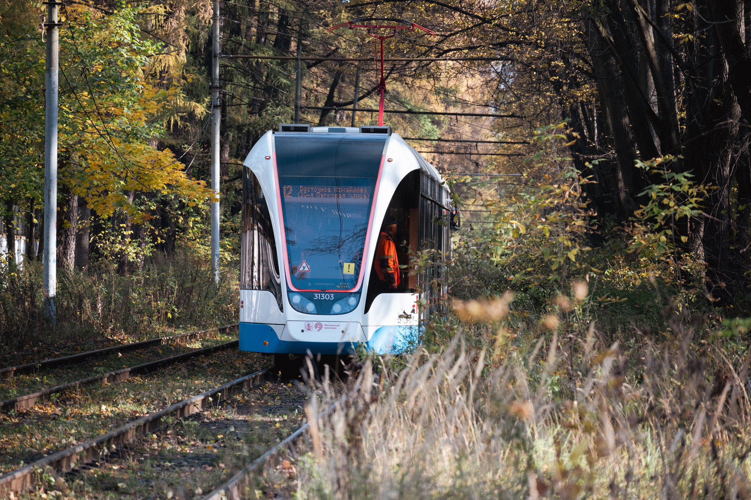 20241012 Измайлово. Дмитрий Ремизов. Фотография, как хобби