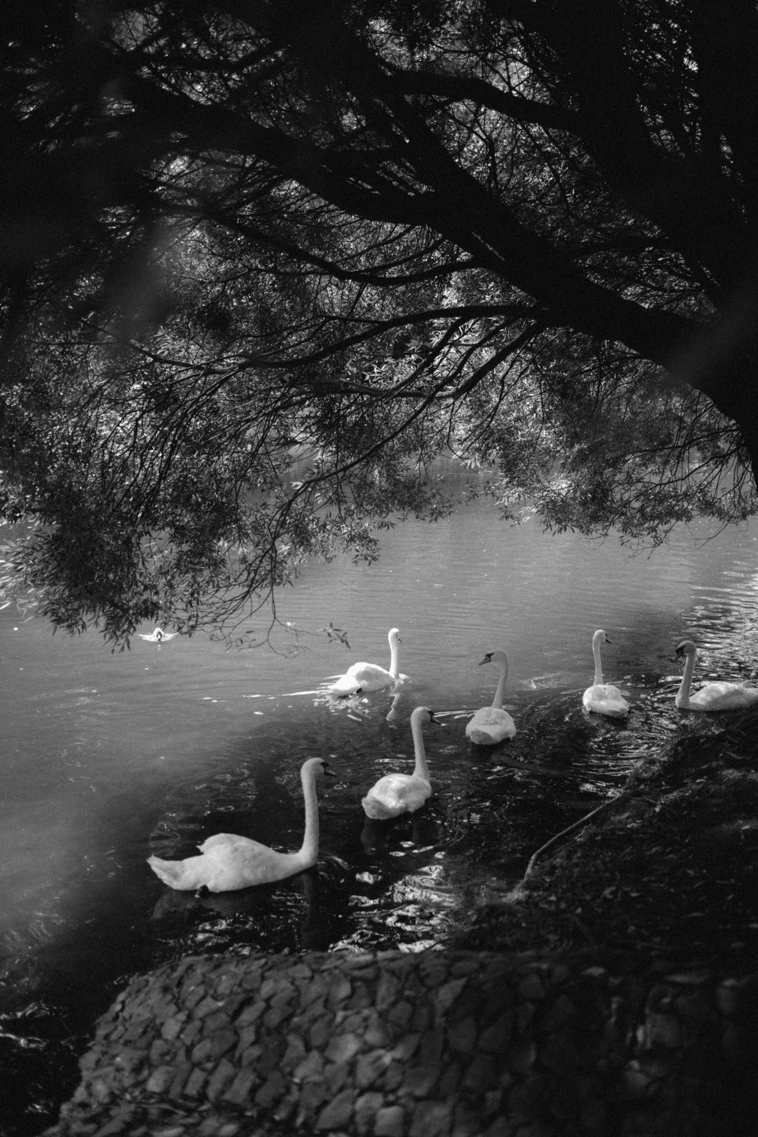 Julia. Фотограф Вика Йодль