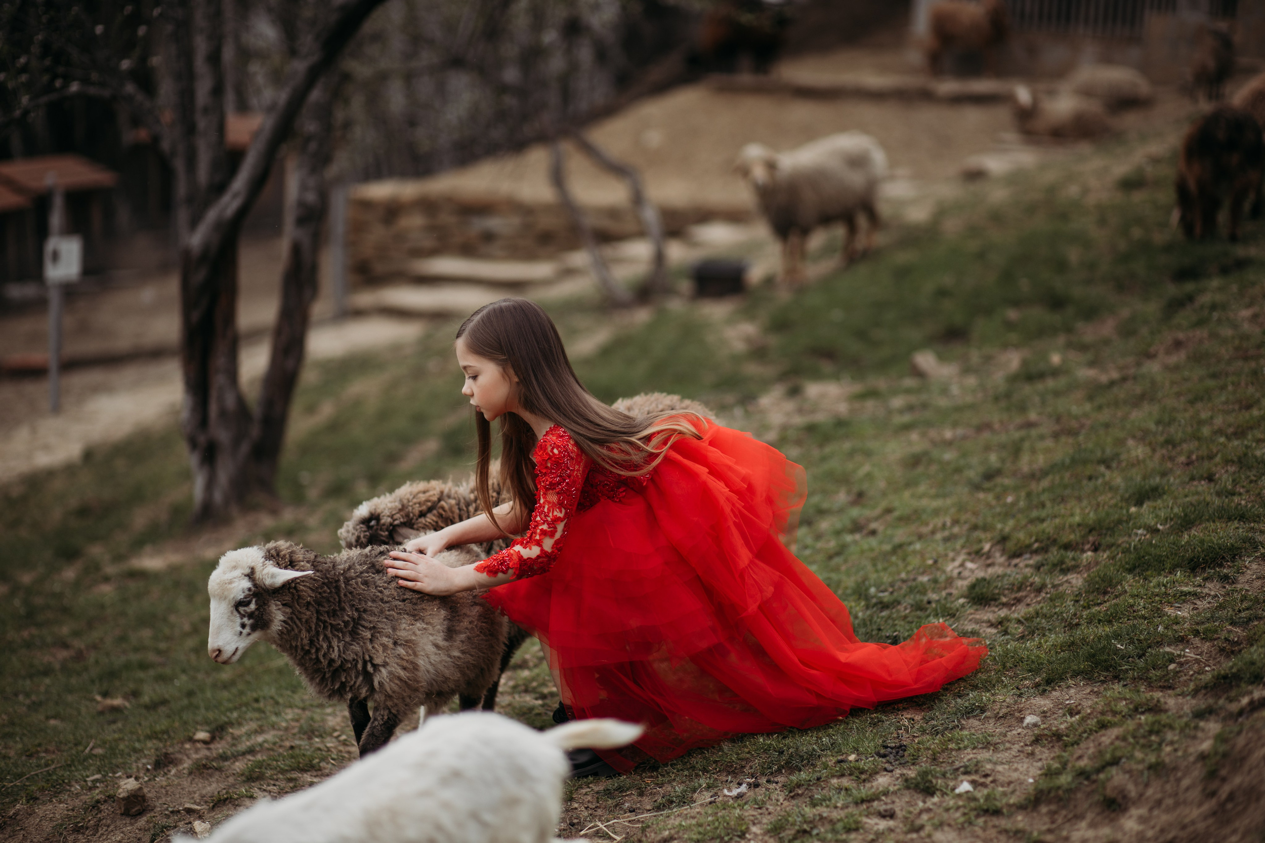 Ферма Экзархо. Фотограф Сочи Татьяна Зорина