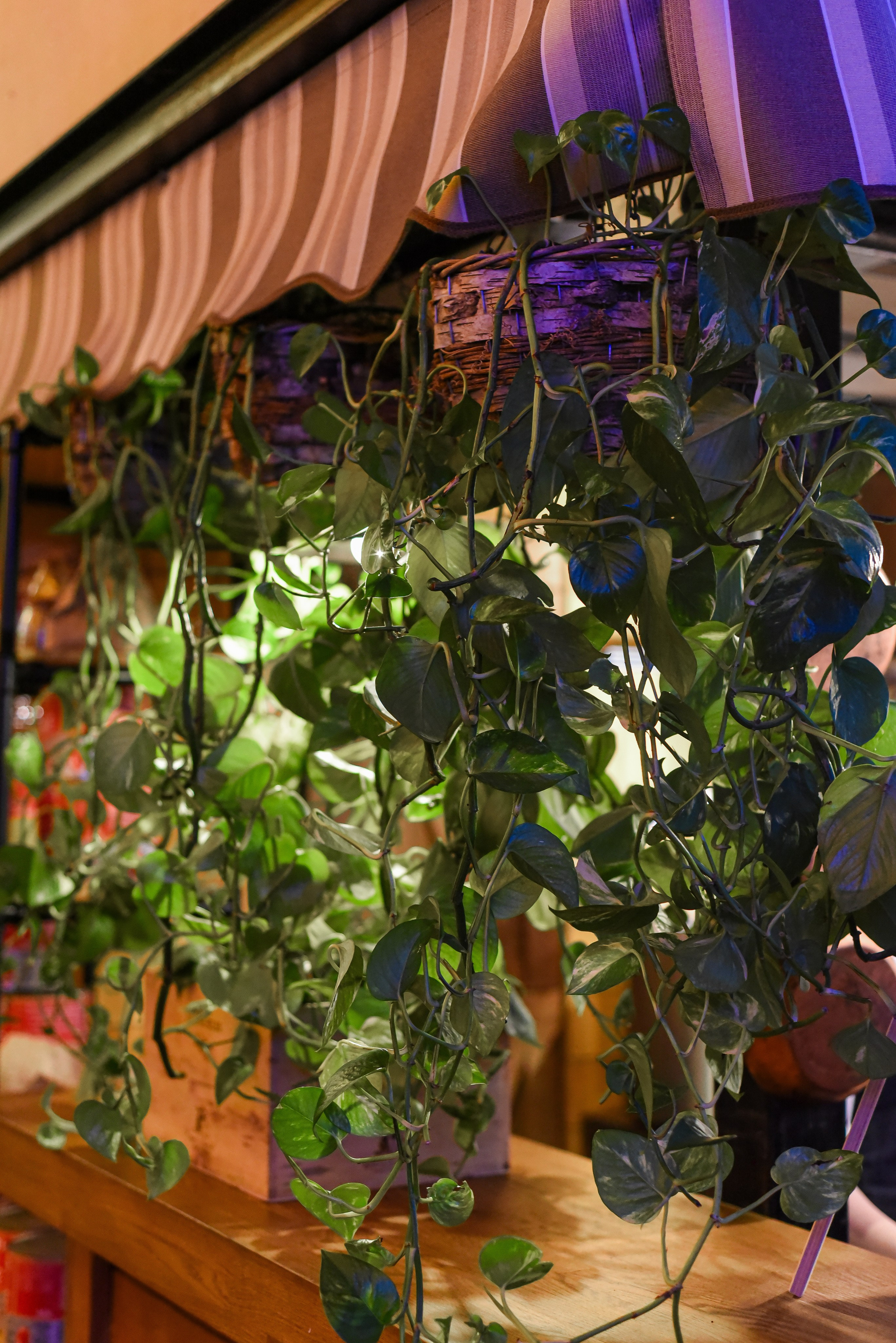 Проекты дизайн-бюро. Фотограф в Москве