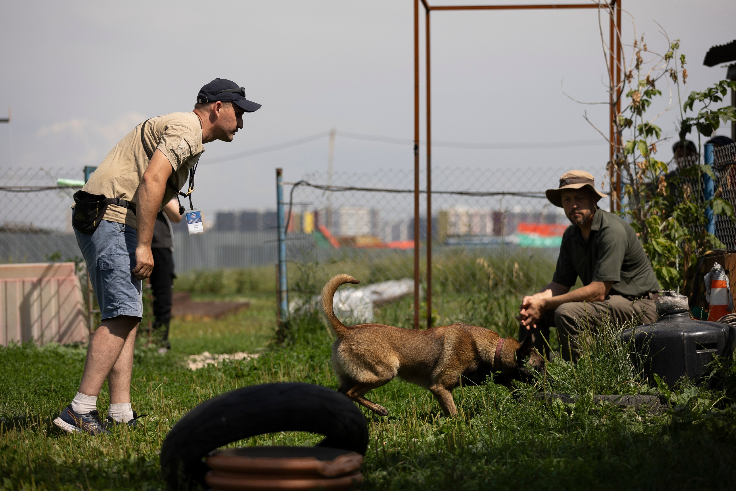 Семинар по поиску ВВ. Фотограф анималист, семейный фотограф, фотограф собак Комратова Мария. г. Москва