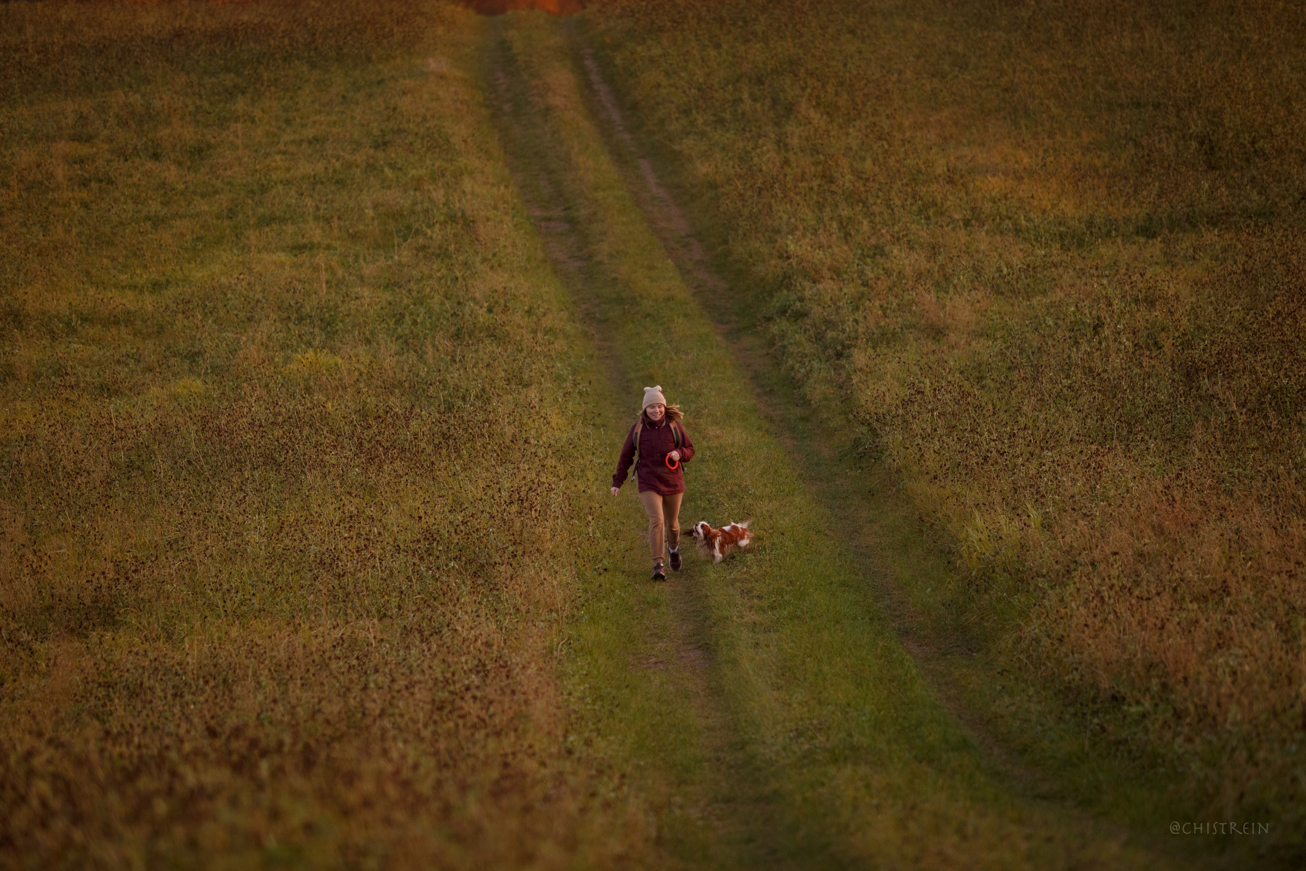 Октябрьский закат в полях. Алина и Лео. Фотограф-анималист Наталия Чистюхина в г. Сосновый Бор и ЛО