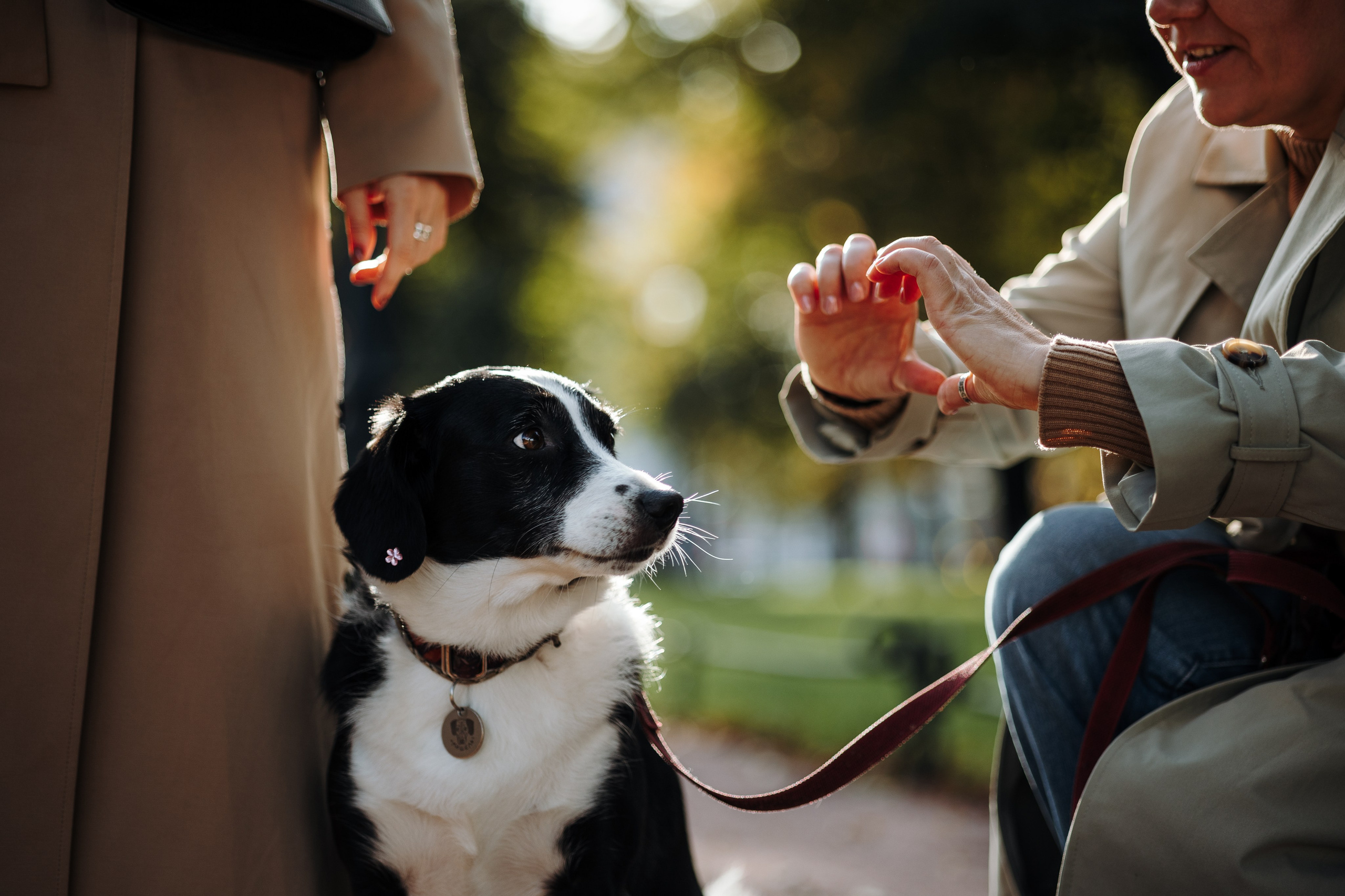 Мишель и ее семья. Фотограф — Анималист | Санкт-Петербург