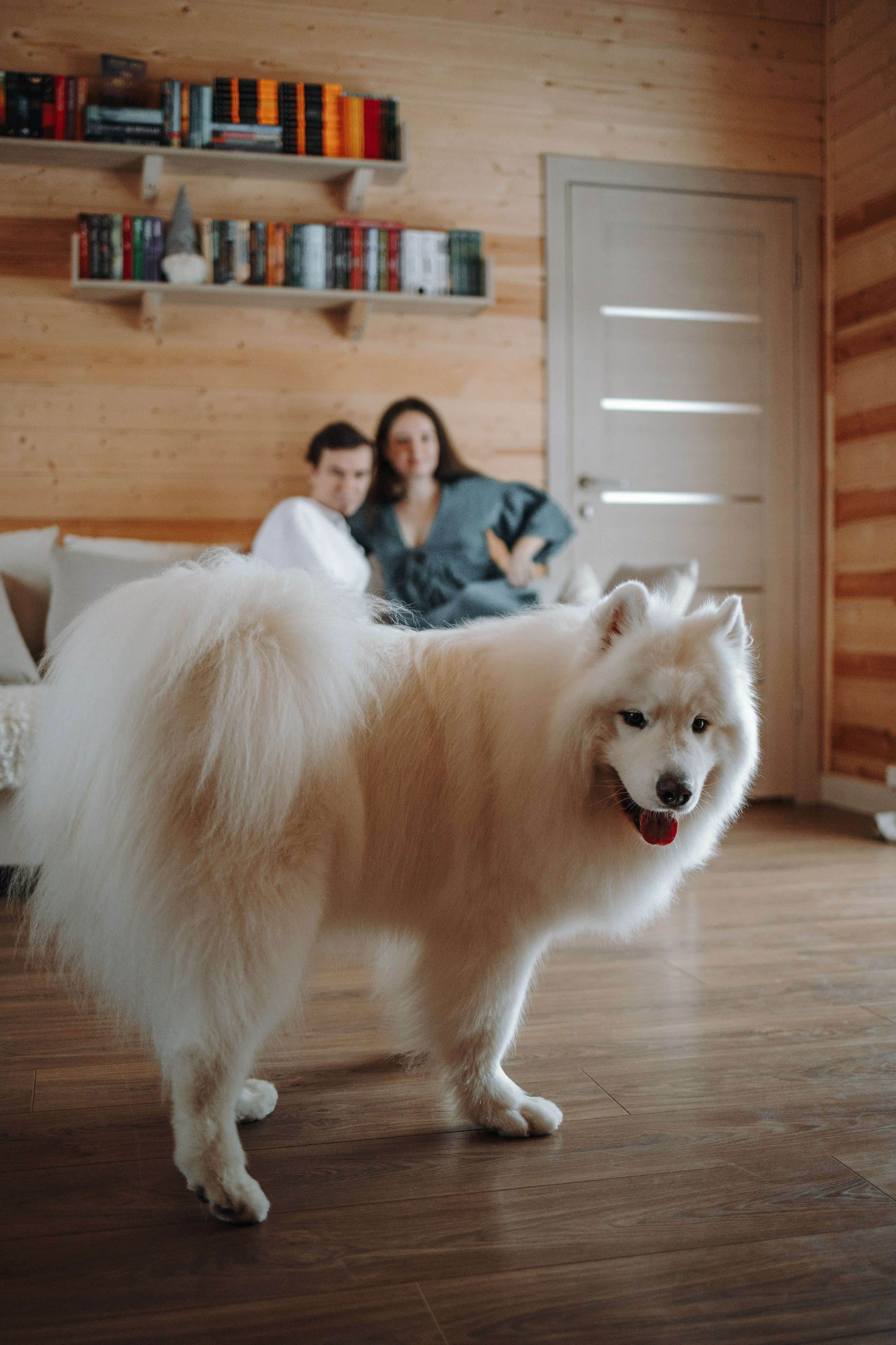 Маркус и его семья. Фотограф — Анималист | Санкт-Петербург