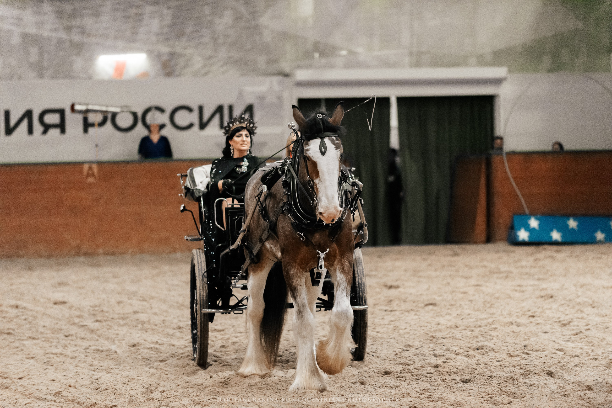 Конное представление «Дыхание Звёзд». Конный фотограф Куракина Дарья • Фотосессии с лошадьми