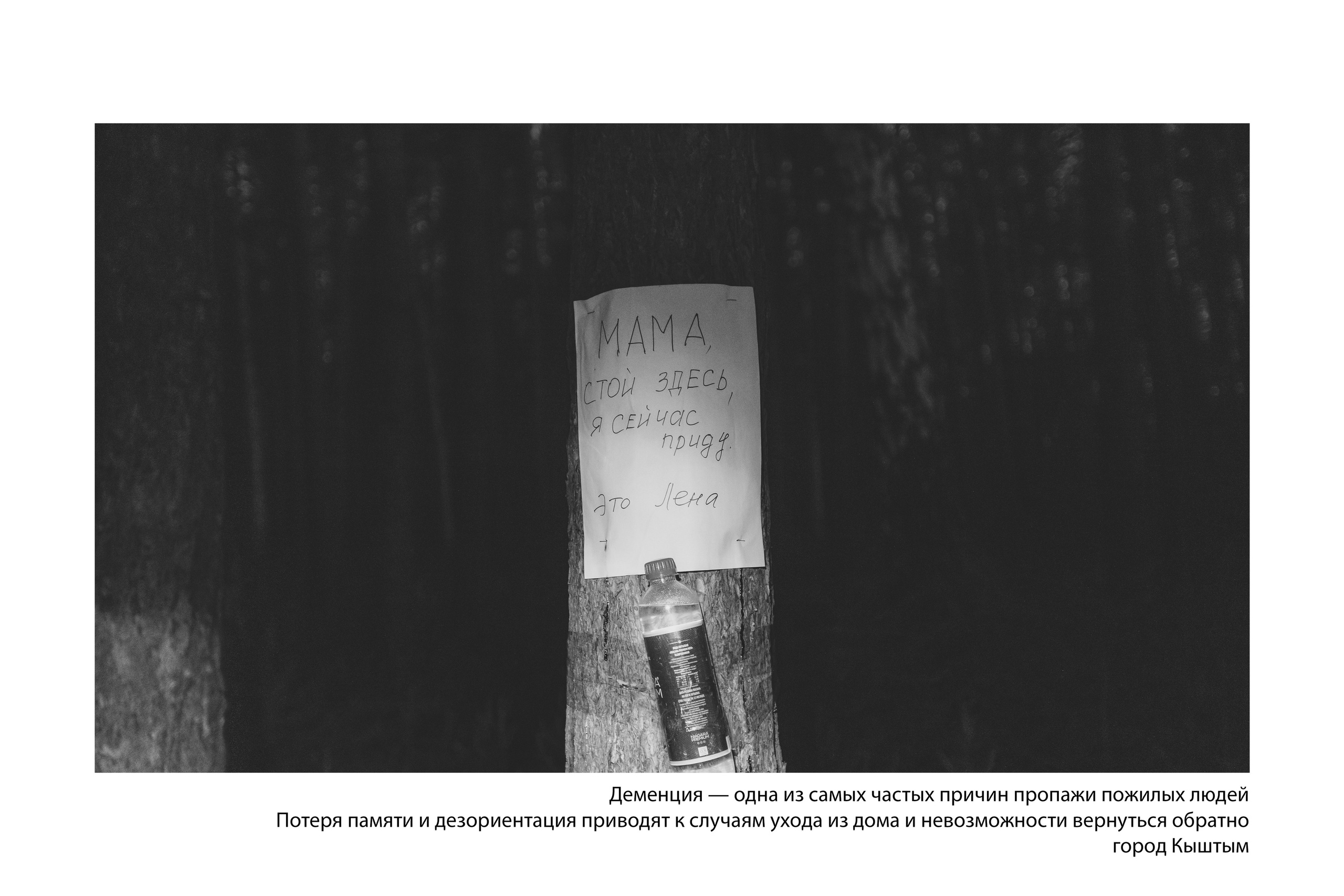 Документальный фотопроект «ЛизаАлерт: вопреки времени». Репортажный фотограф Наталья Лапцевич