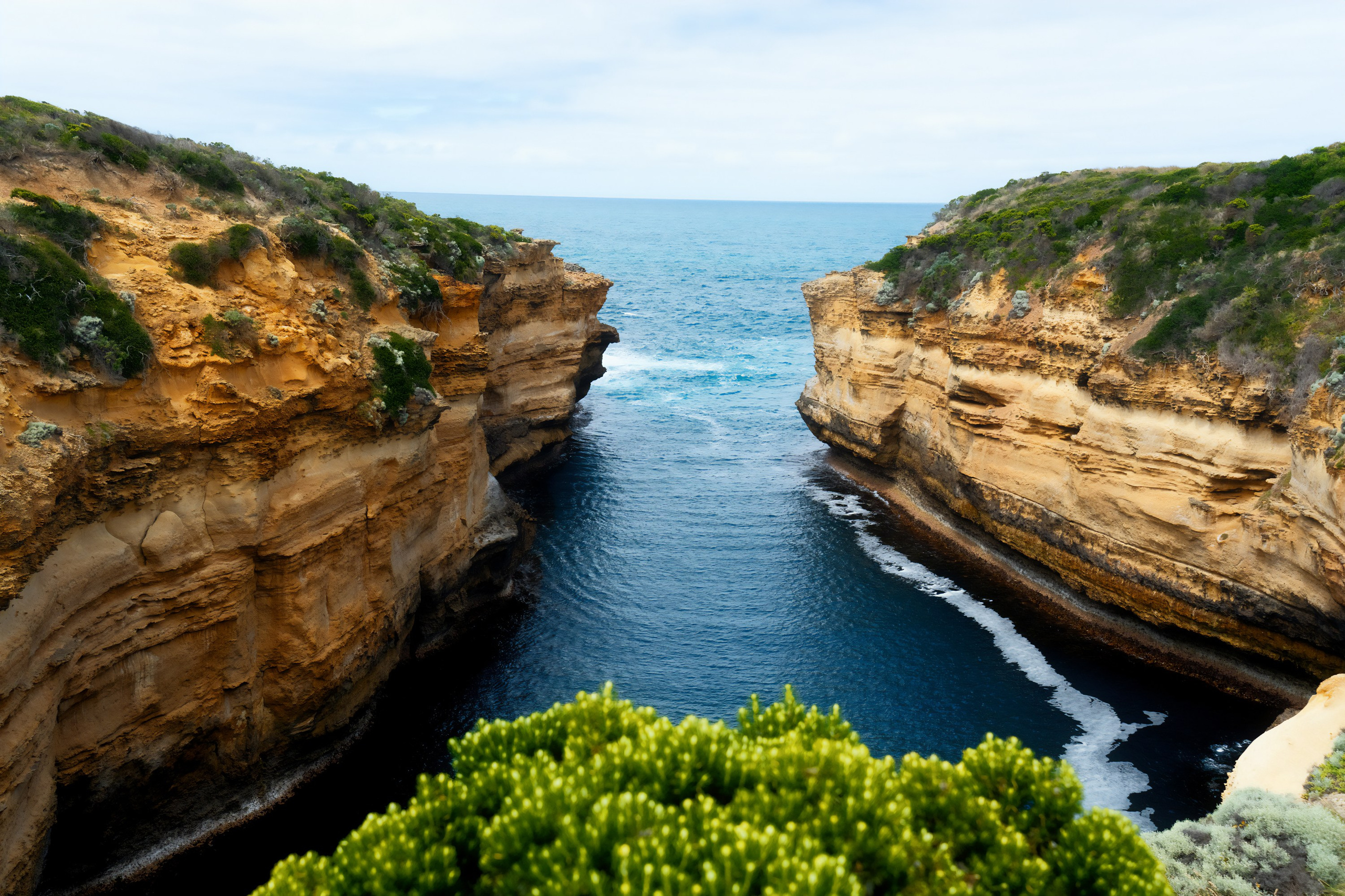 Австралия. Фотограф в Хабаровске. Фотография за 24 часа