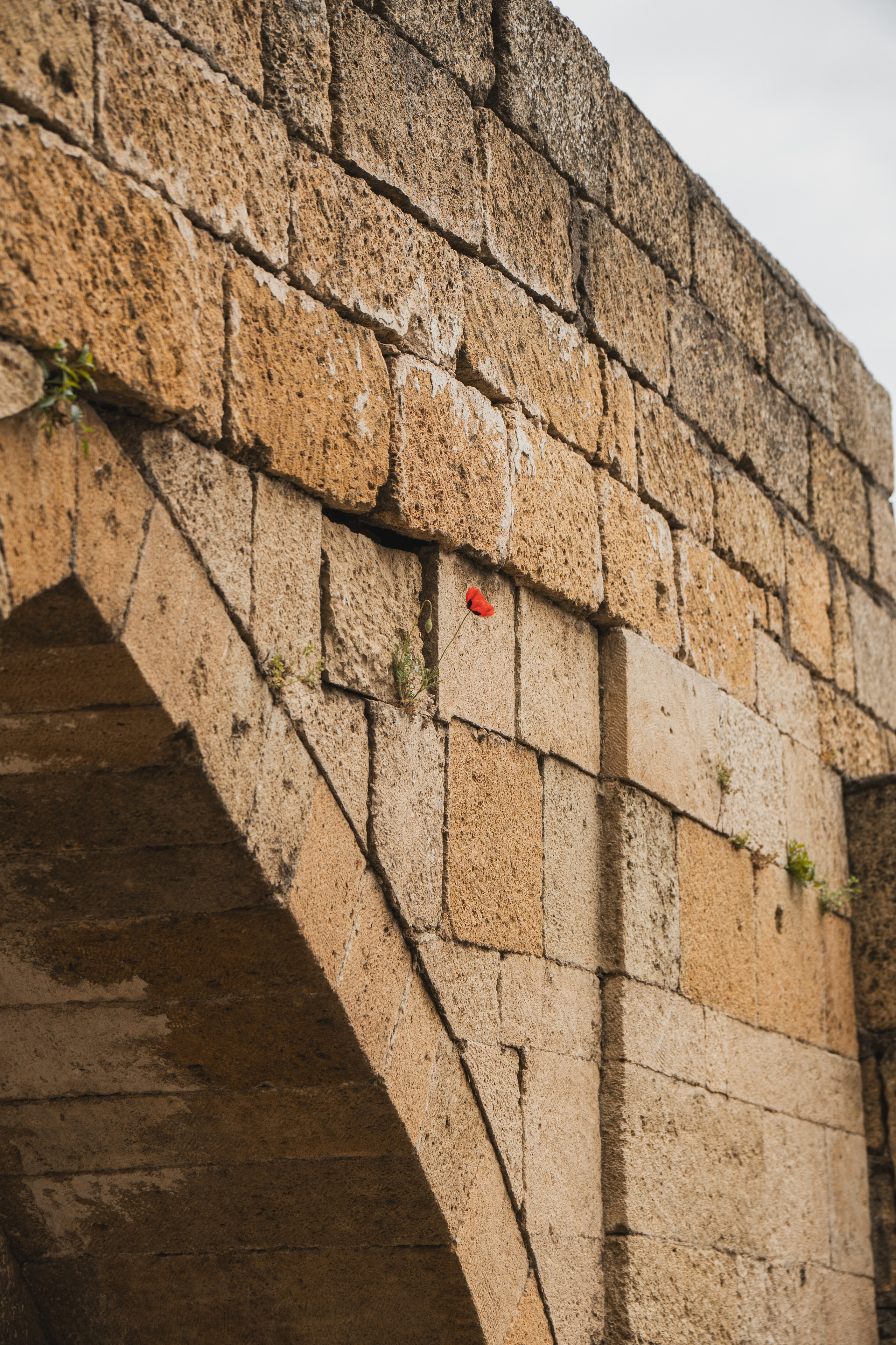 Дагестан. Gusarov Travel Photography