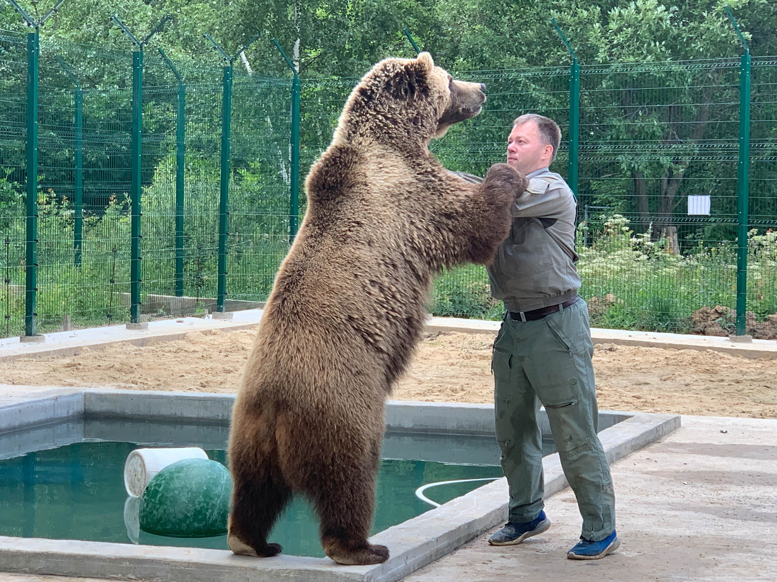 Медведь Мансур. Фотоальбом показывающий увлекательный мир авиации и мир медведей Андрея Иванова