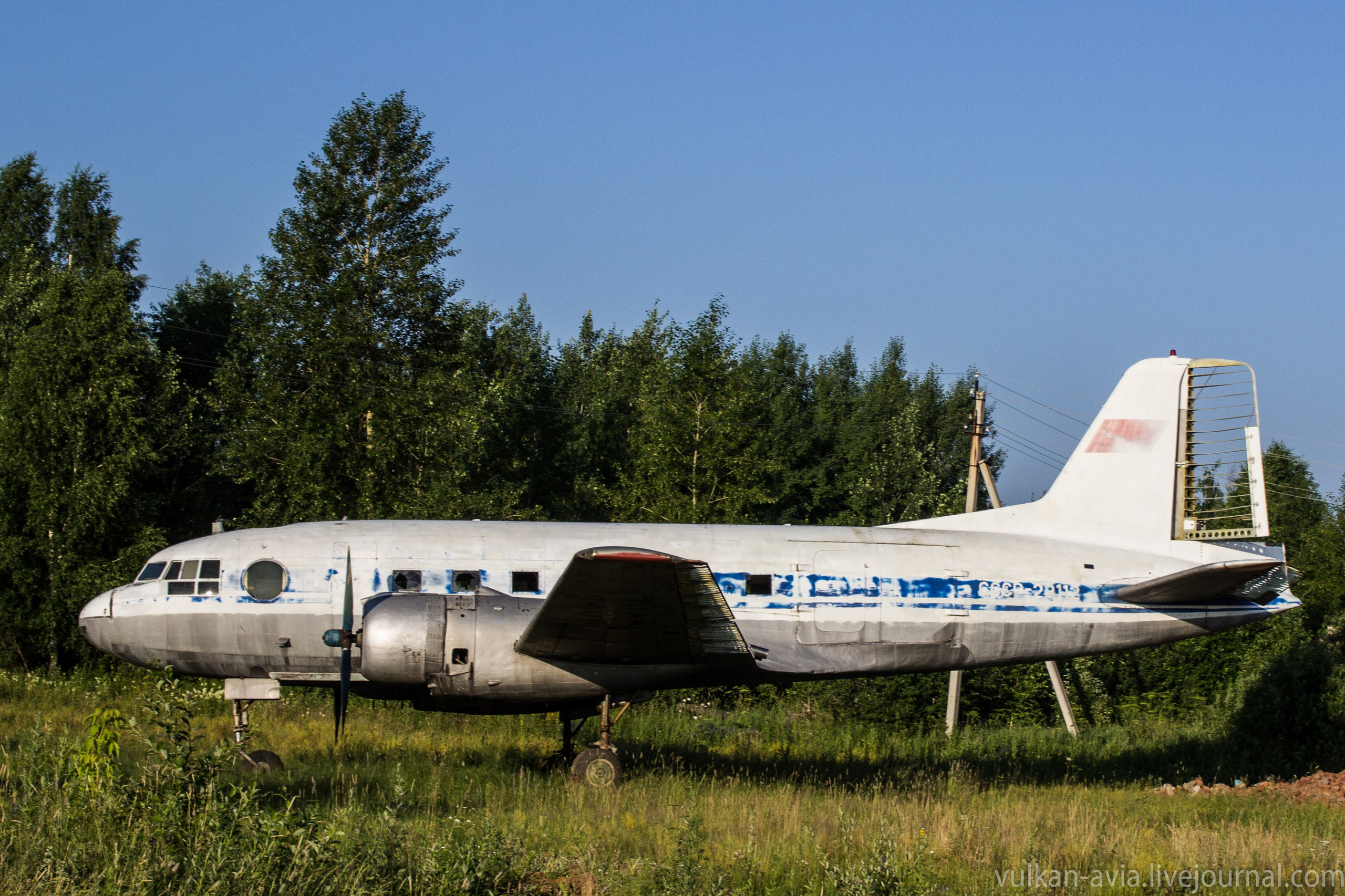 Ил-14 (Пермь, Фролы). Фотоальбом показывающий увлекательный мир авиации и мир медведей Андрея Иванова