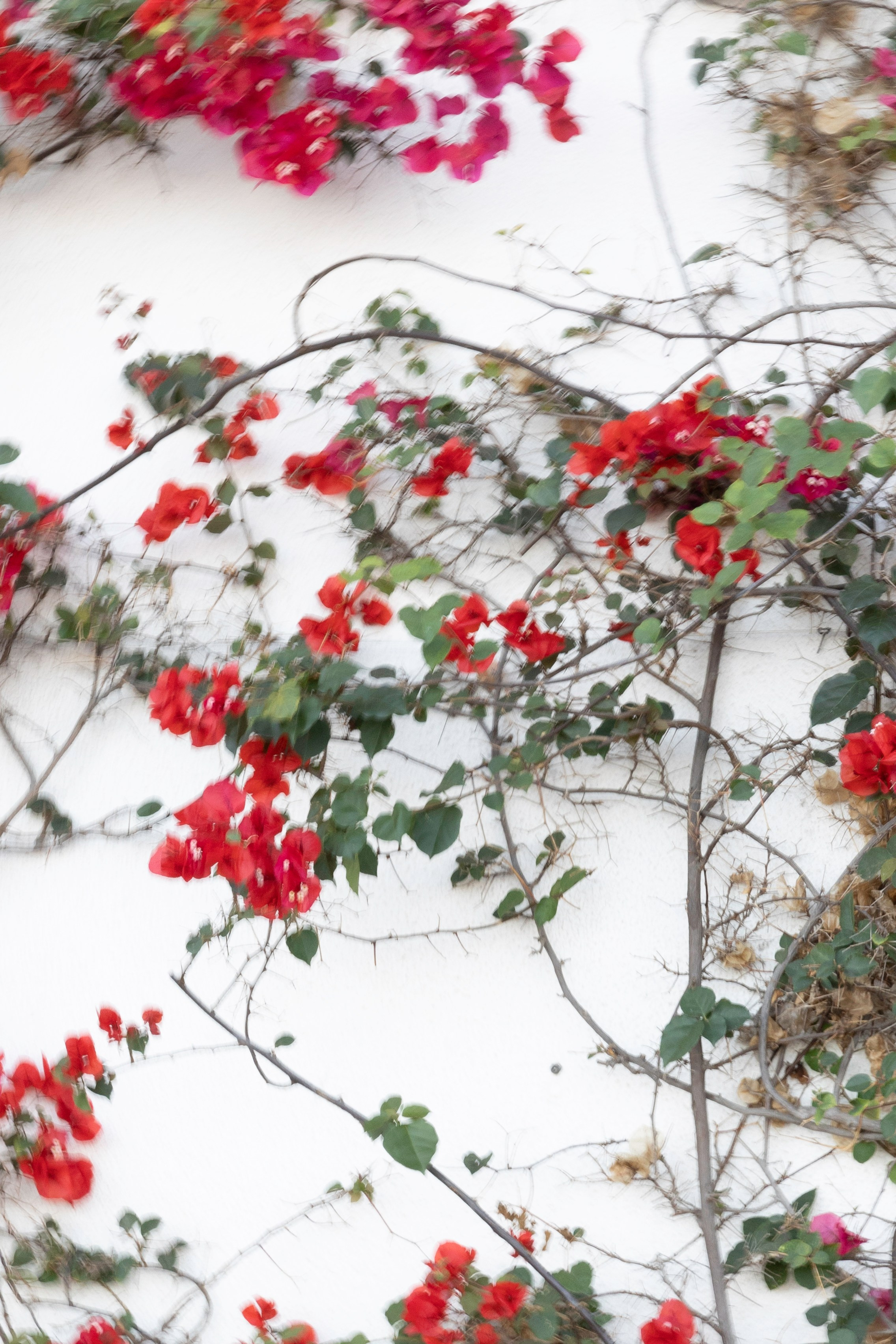 Art prints. Фотограф алина стерхова, алина стерхова фотограф, фотограф москва