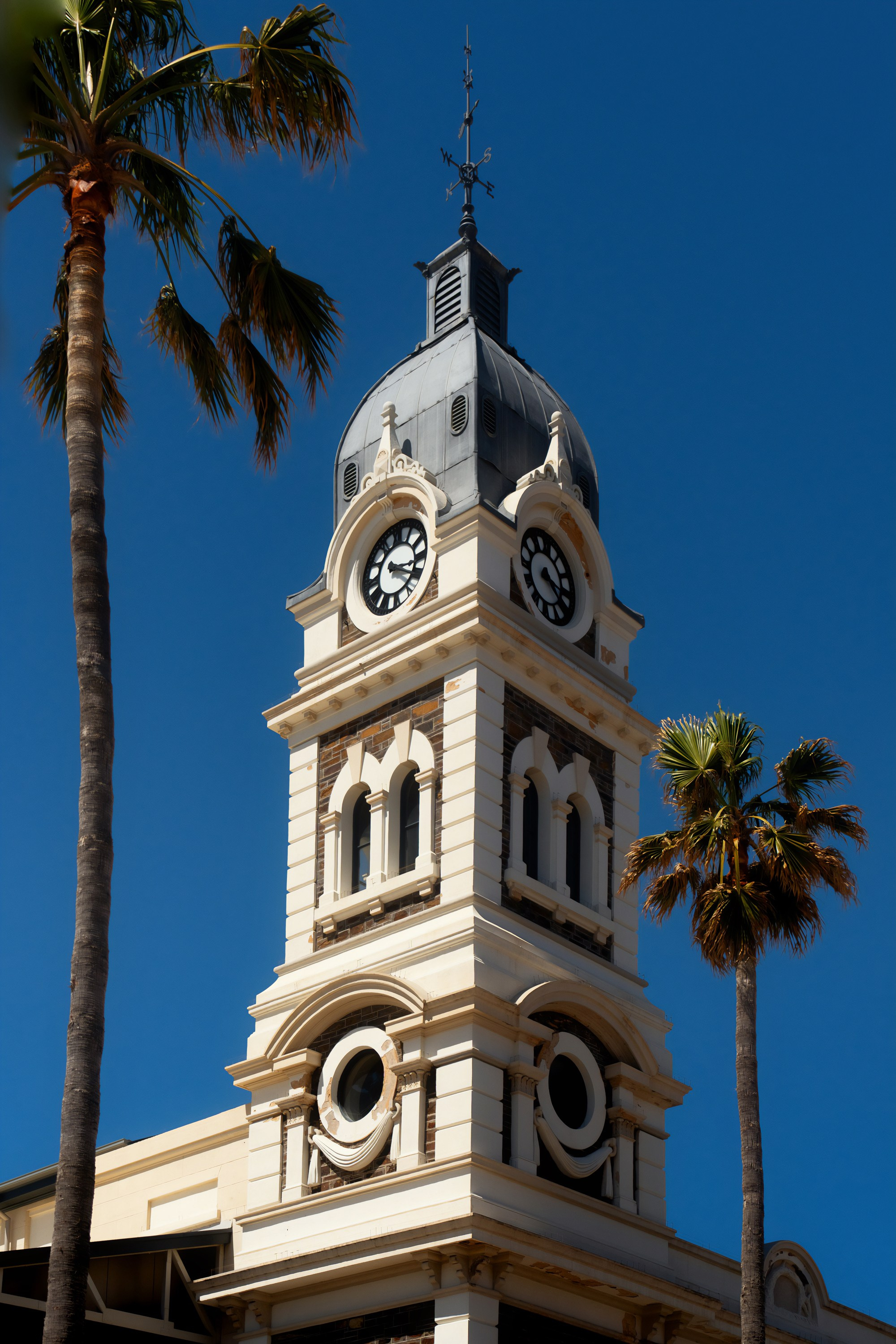 Австралия. Фотограф в Хабаровске. Фотография за 24 часа