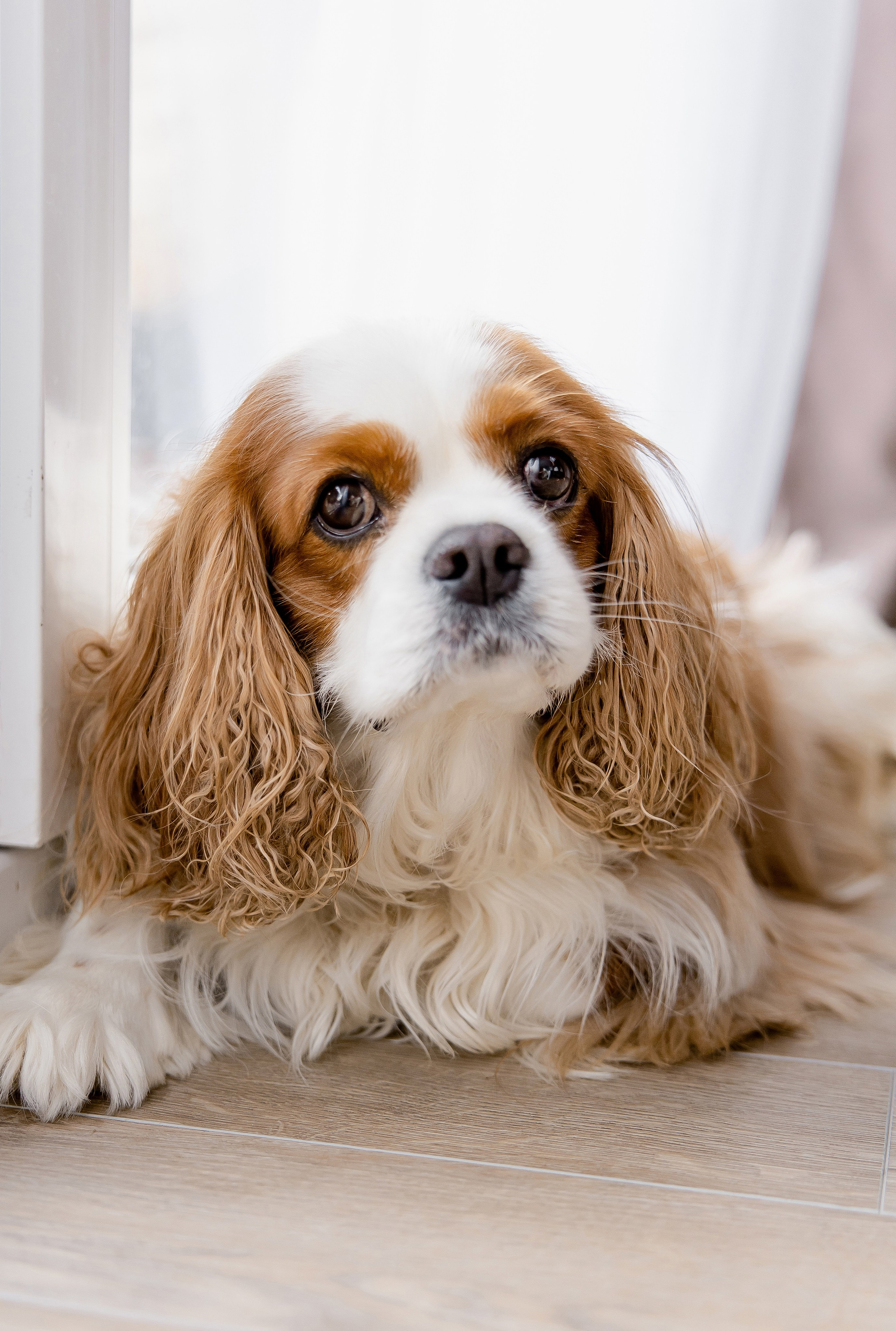 Семейная съёмка для Кати и Вити. Свадебный и портретный фотограф в Миассе Филиппенко Дарья