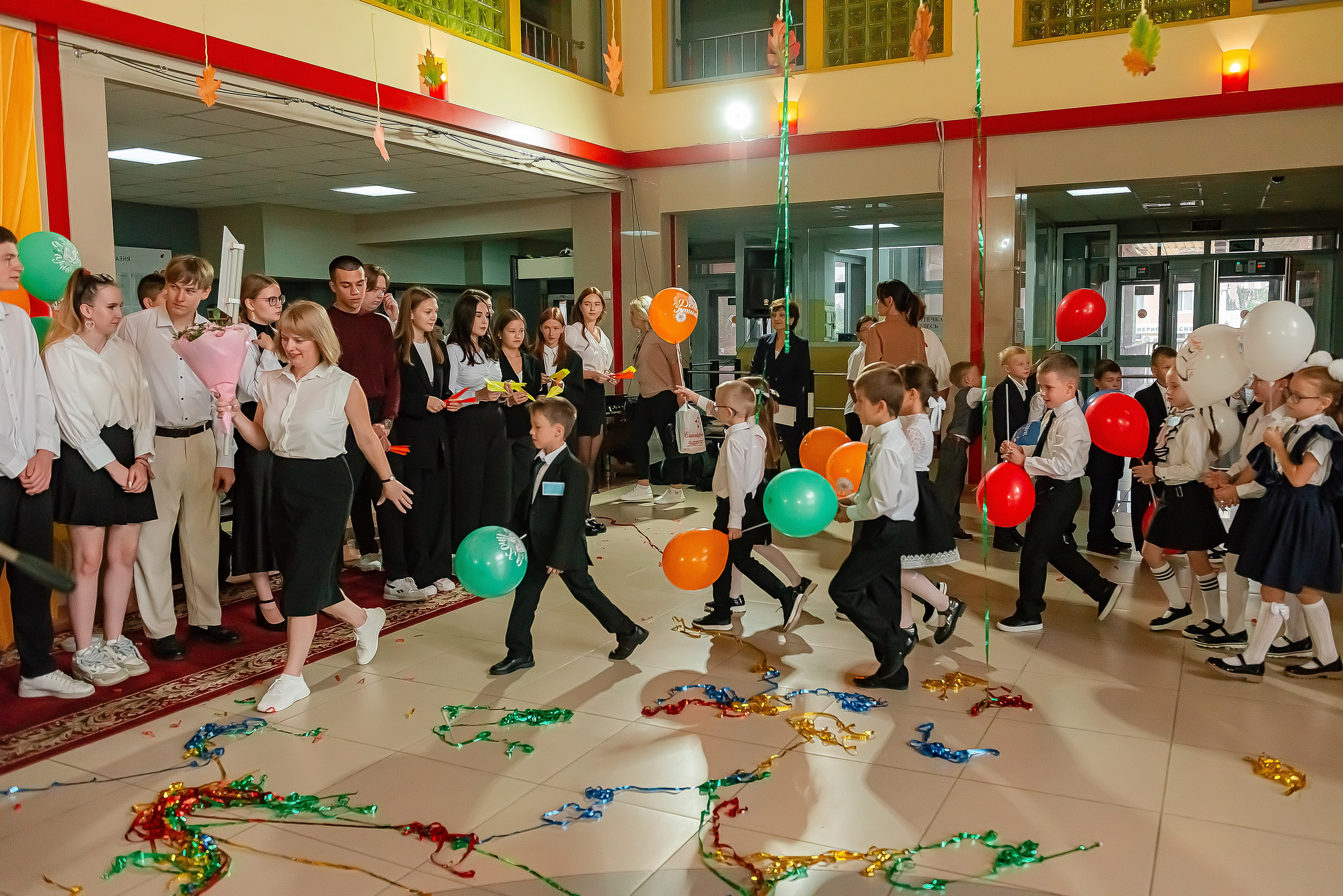 1 «В» | Гимназия № 3| г. Белгород |2024. ALBUMIA