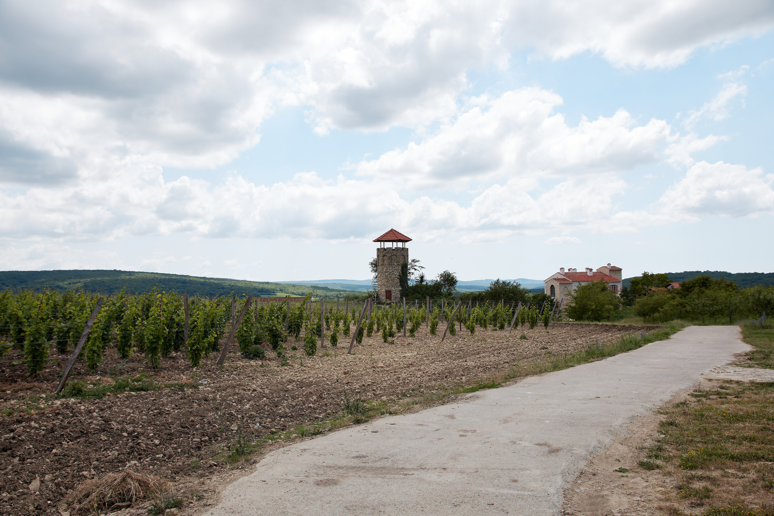 ОДНА ВИНОДЕЛЬНЯ. Репортажный и мужской фотограф в Краснодаре. Фотограф в Краснодаре