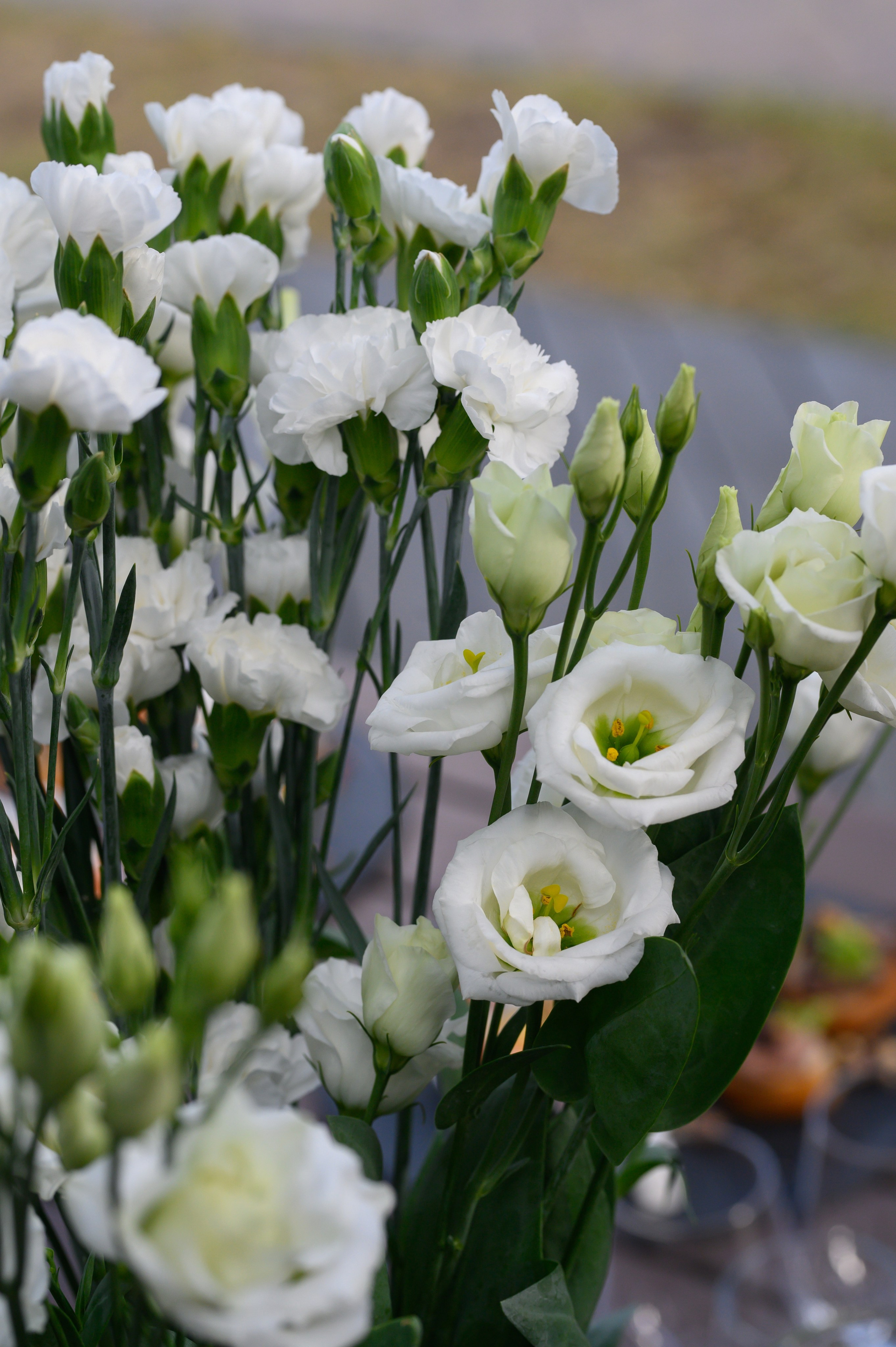 Алексей и Анастасия. Свадебный фотограф Минск, Пинск, Брест, Гродно Чернигов Андрей