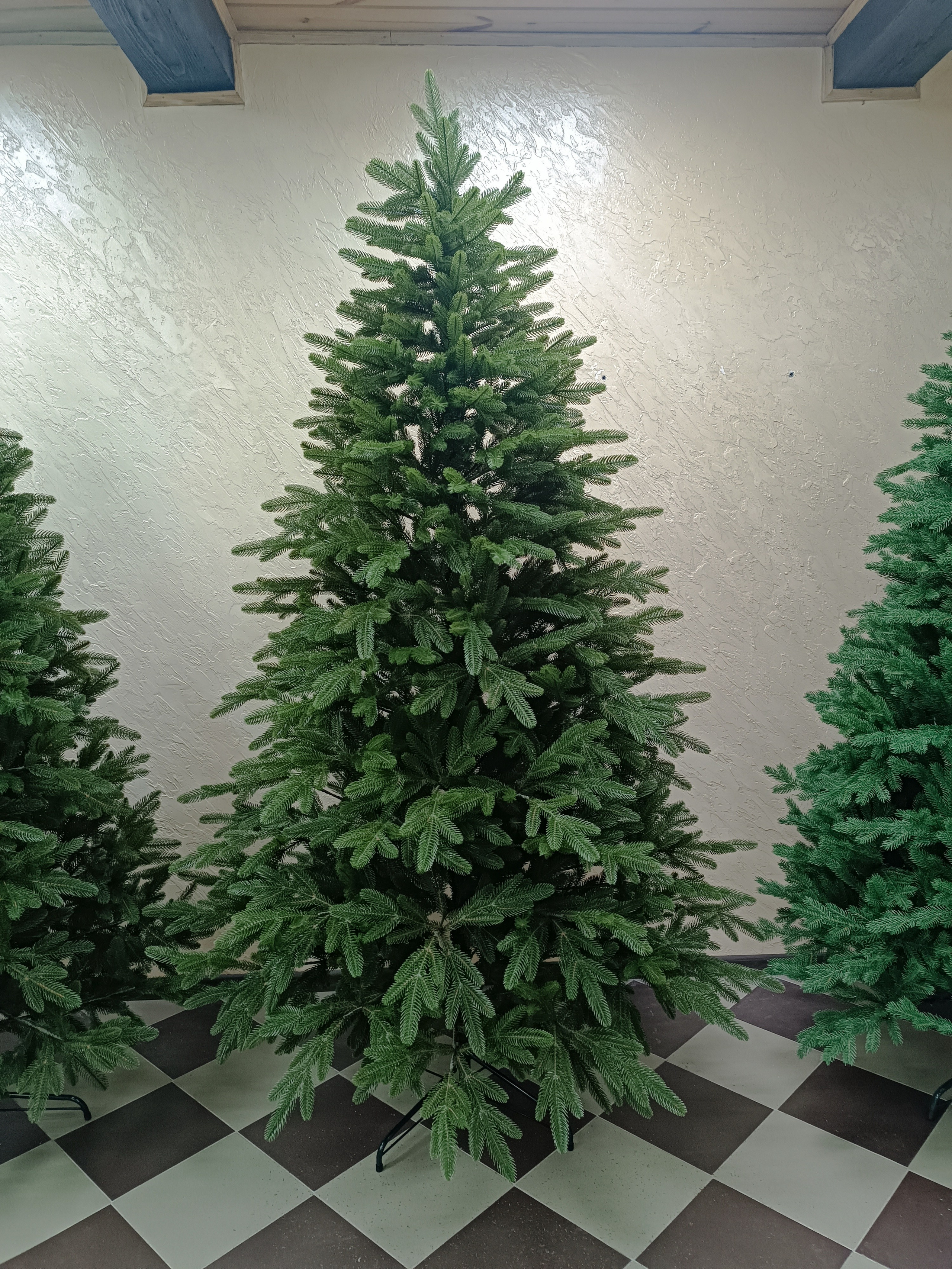 КАРОЛИНА. Elki_grodno