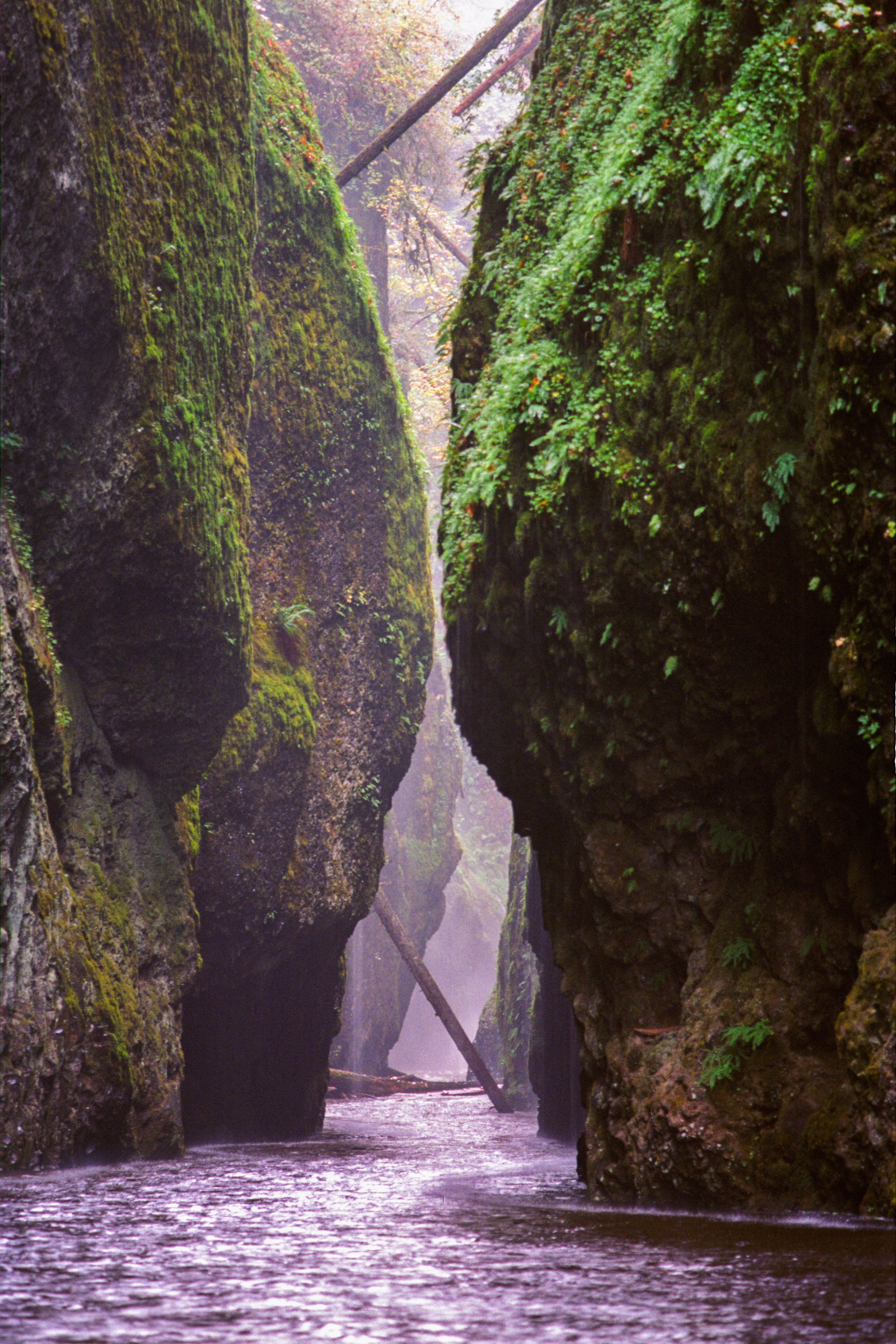 Kodak. Василий Буйлов|Vasilii Builov