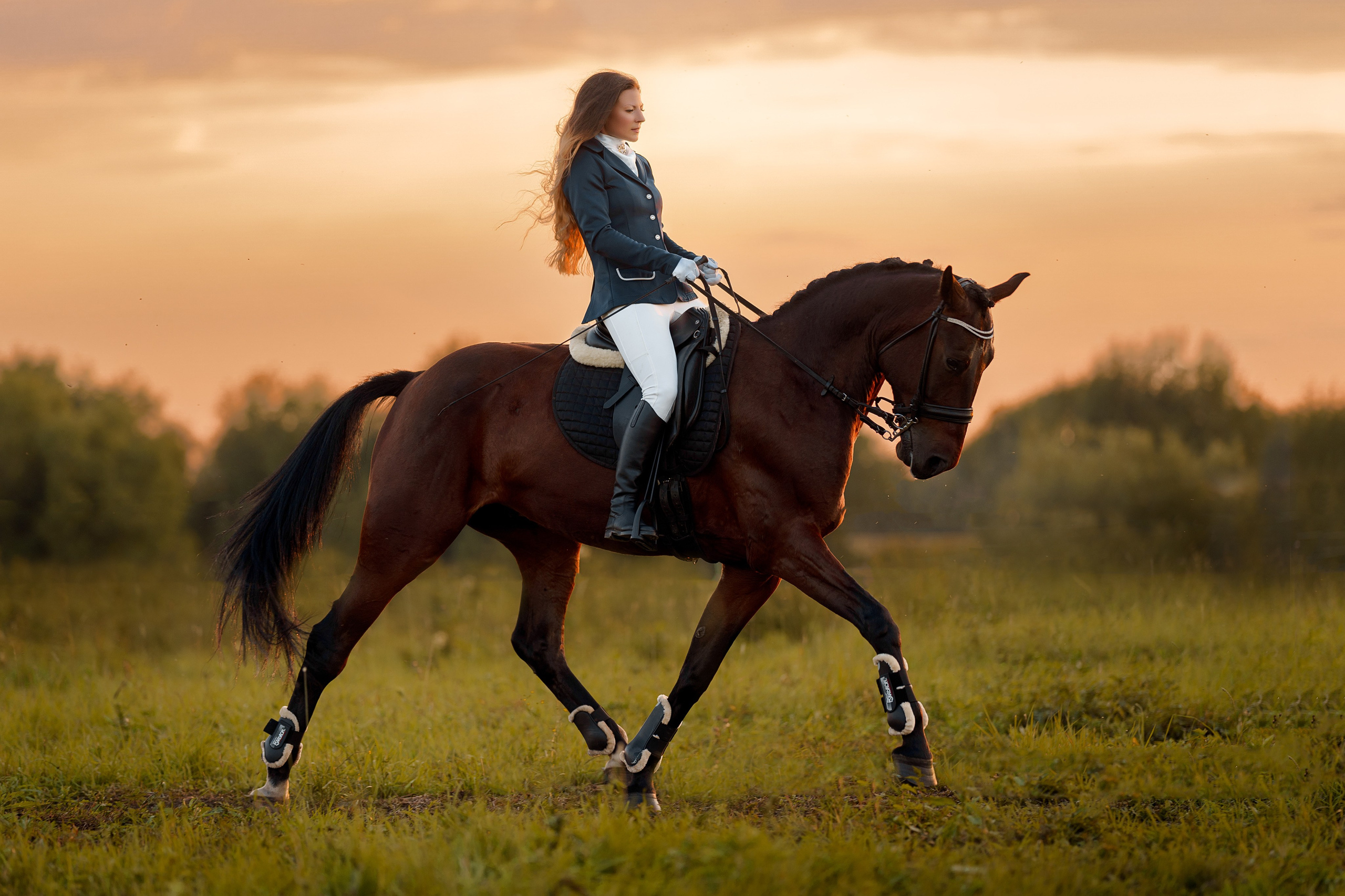 Фотосессии с лошадьми. Фотограф Артемьева Катерина|фотосессии с лошадьми