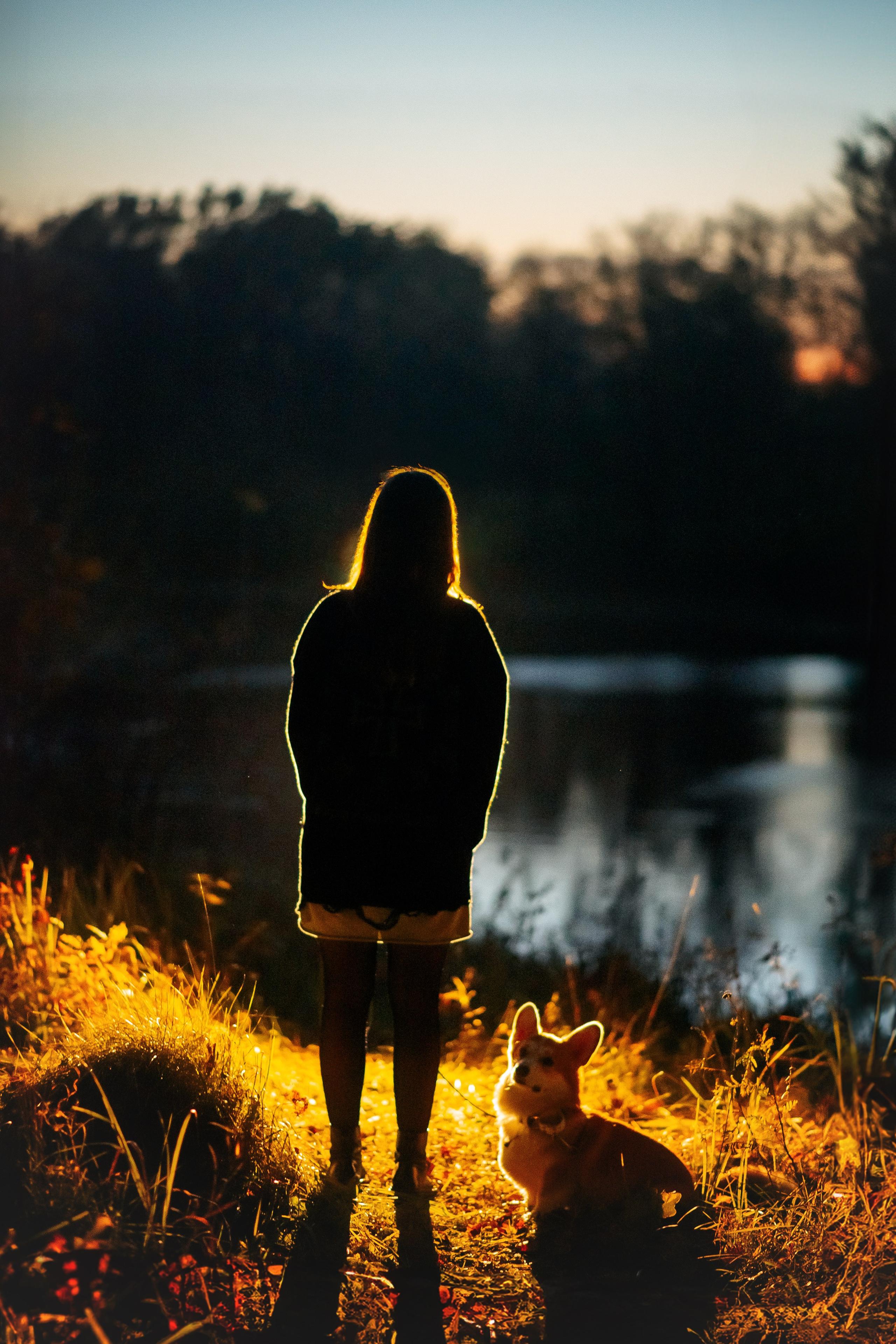 Максим, Надя, Рой и Шелби — 13.10.2024. Фотограф — Анималист | Анна Абрамова