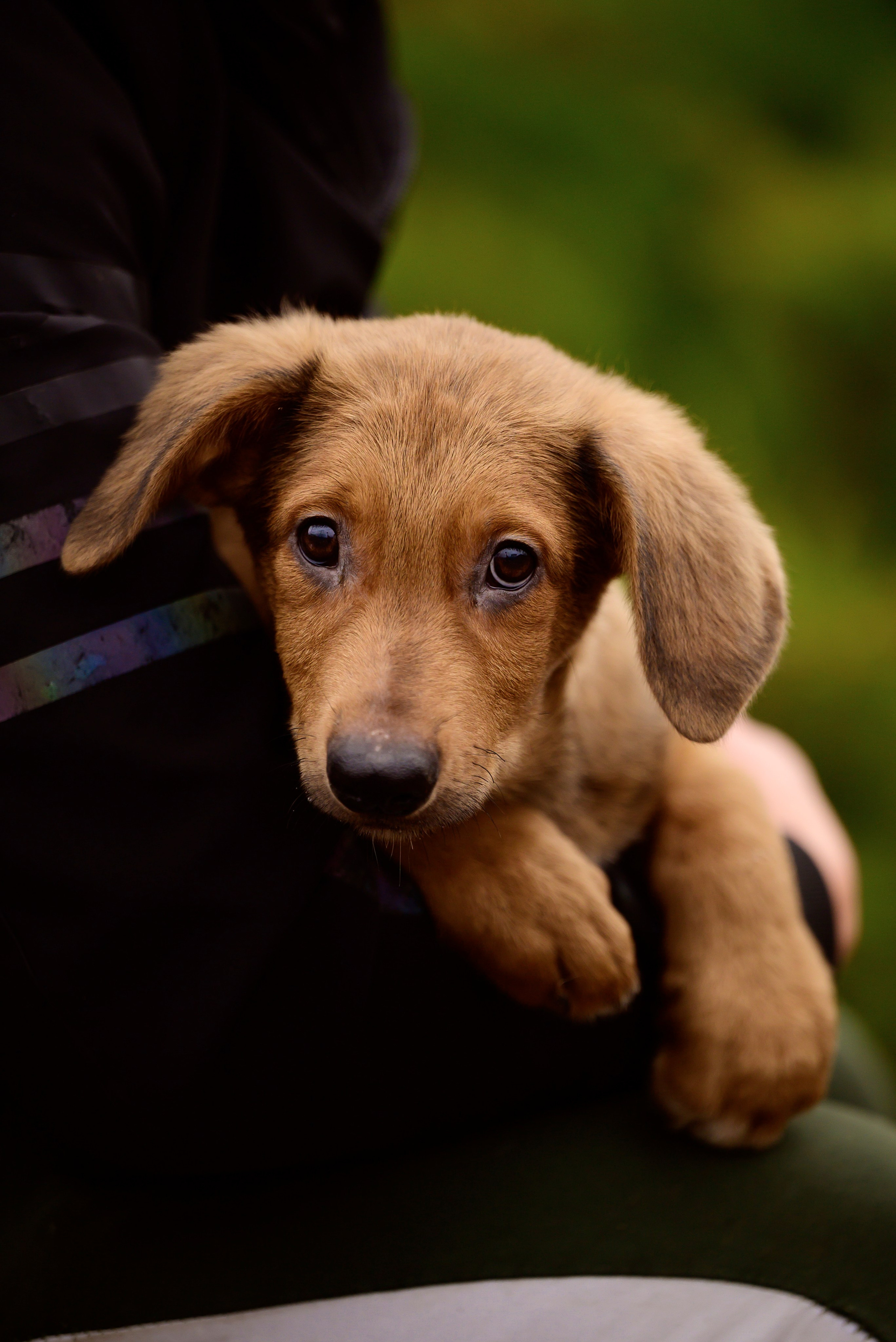 Круассанчики. Мила Астахова