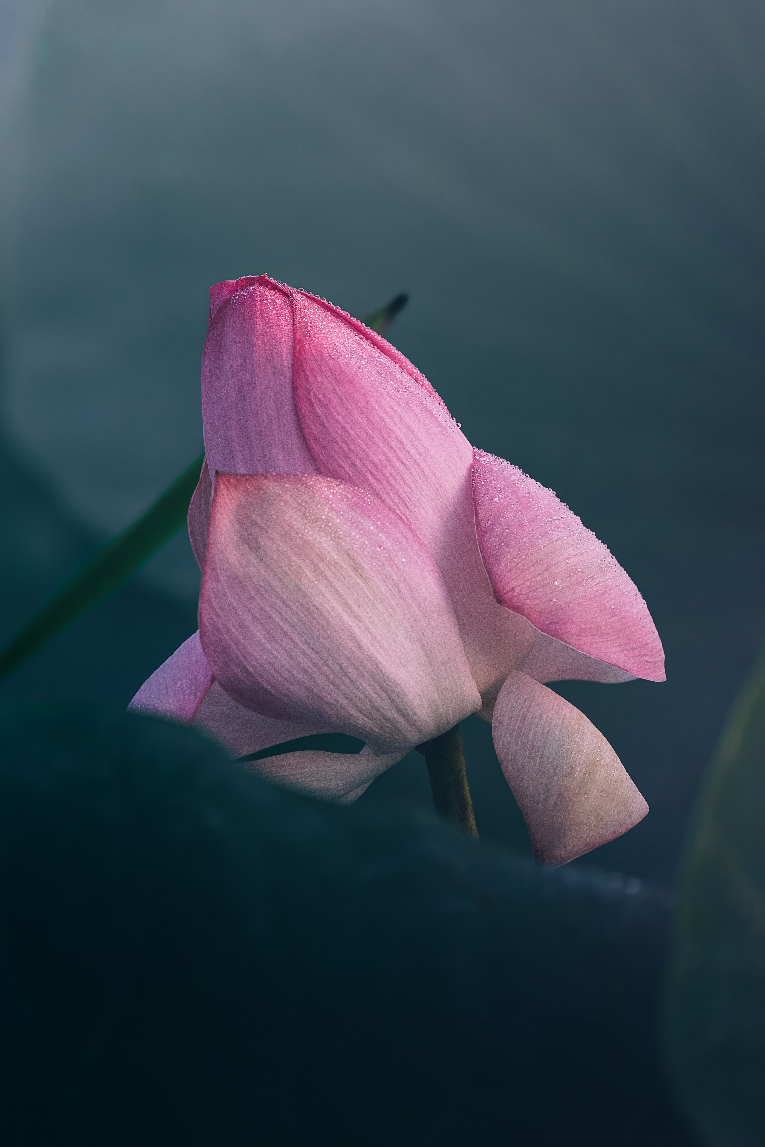 Астраханская область 2025 | Фотограф Дмитрий Купрацевич. Дмитрий Купрацевич профессиональный пейзажный и travel-фотограф