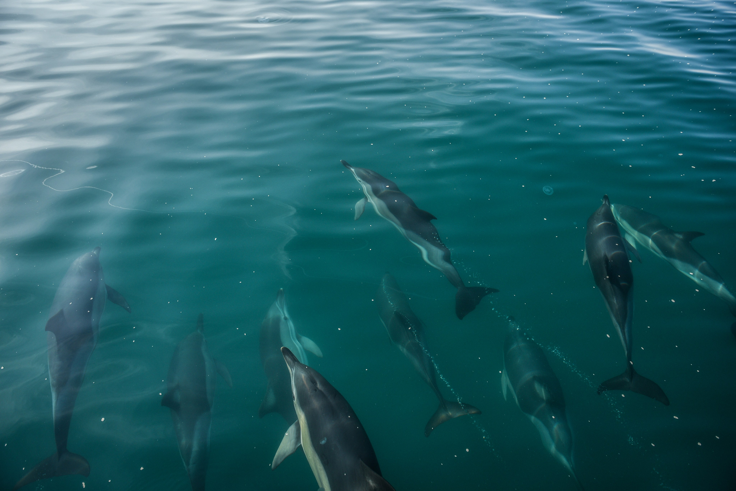 Wild and free. Anastasia Serdyuk, travel photographer, travel photo, portraits, stories, fineart prints