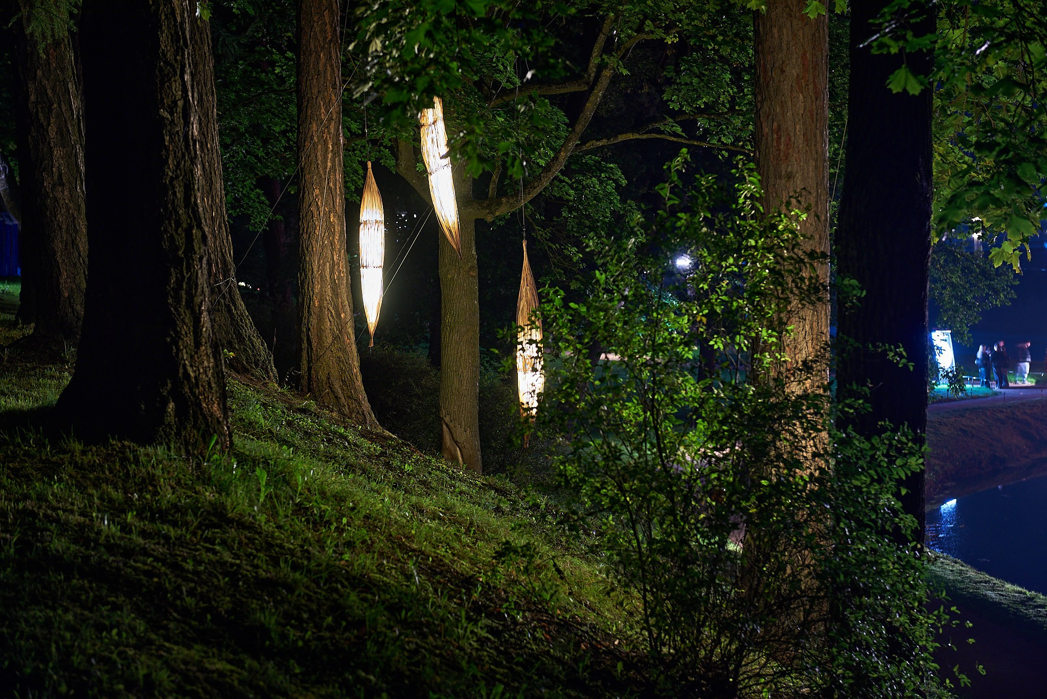 Ночь света 2024 Гатчина. Иван Ступа, репортажный фотограф в Санкт-Петербурге и Ленинградской области