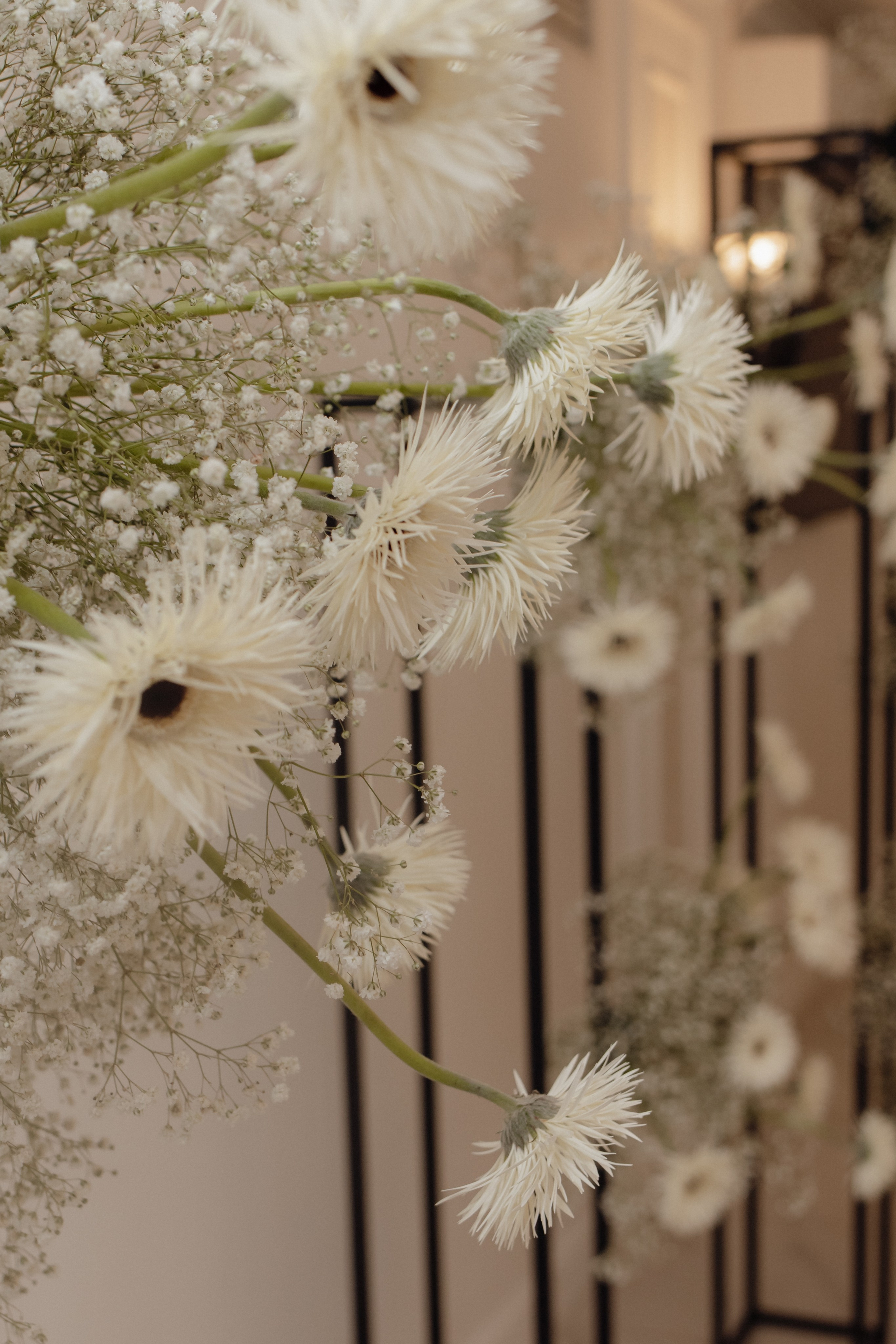 Степан и Дарья. Семейный и свадебный фотограф в Челябинске Мария Леонтьева